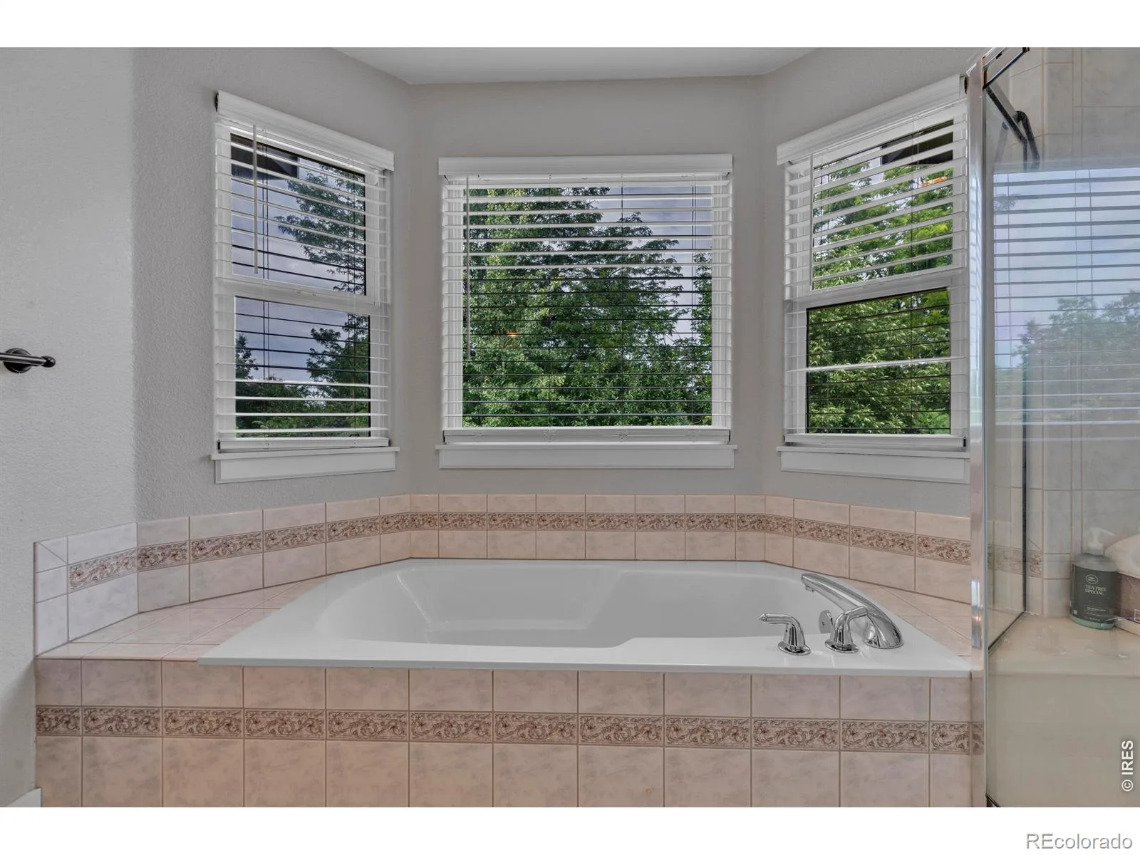 3739 Florentine Circle Longmont CO 80503 | MLS #RECIR1065813 08072026203304 1600 5