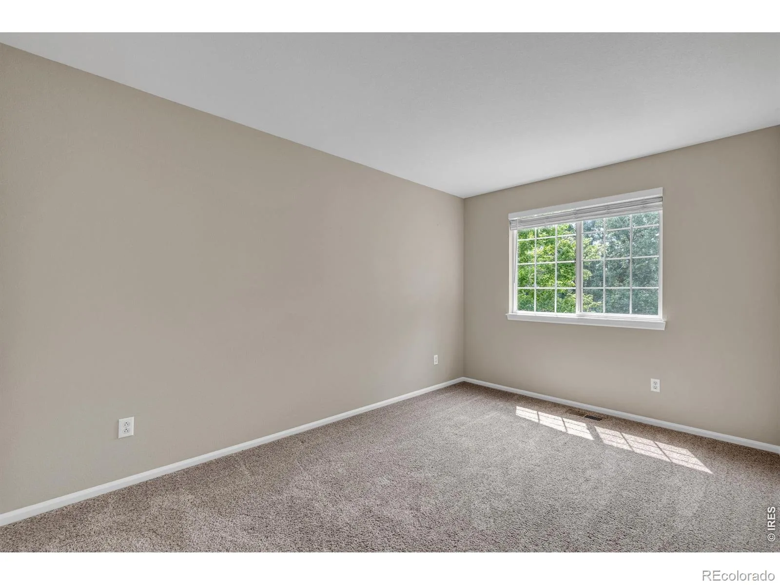 6809 Tiger Walk Littleton CO 80124 | MLS #RECIR1065818 08082026012504 1600 18
