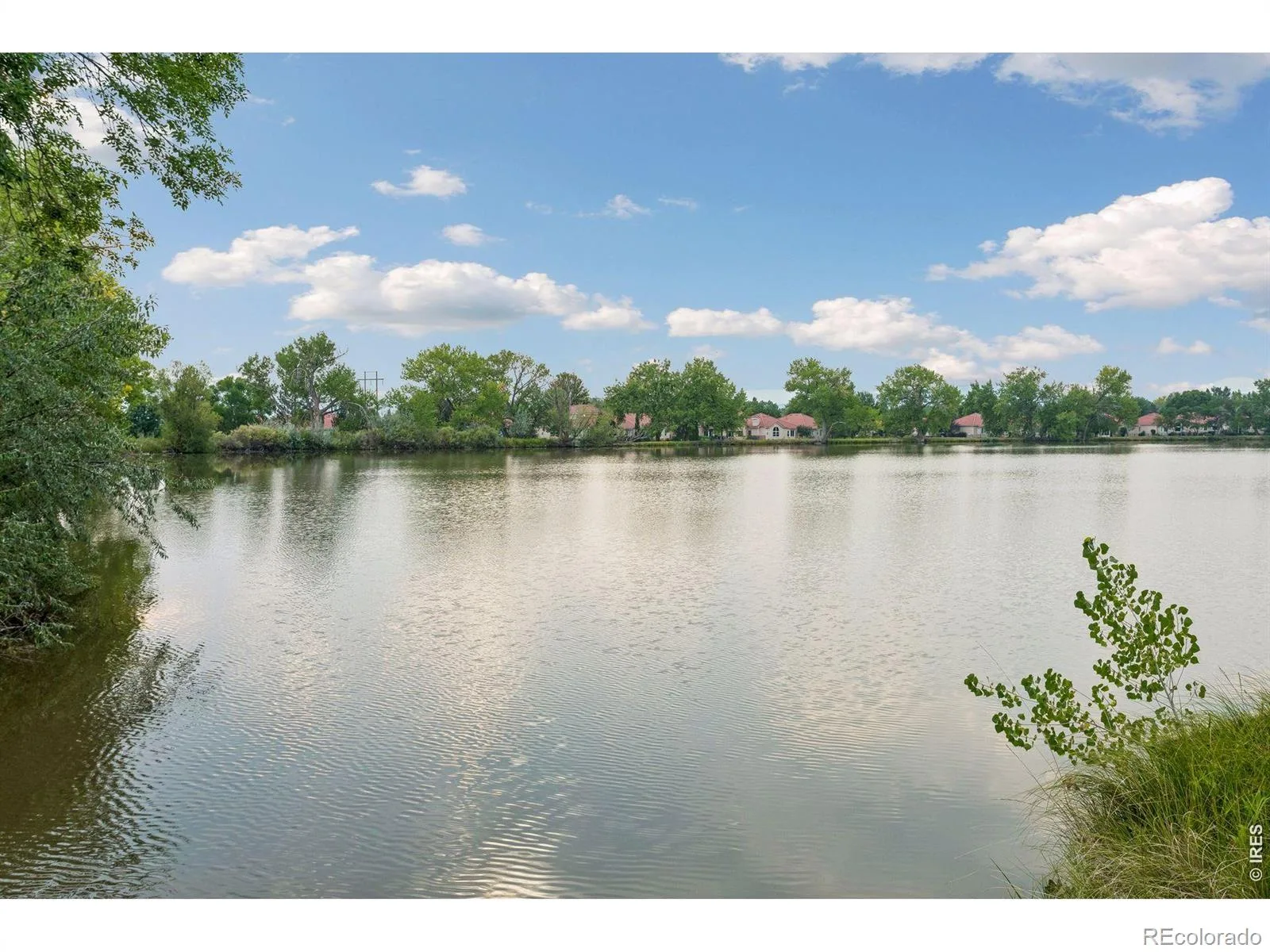1900 N Shore Drive Longmont CO 80503 | MLS #RECIR1065886 08062026193730 1600 35