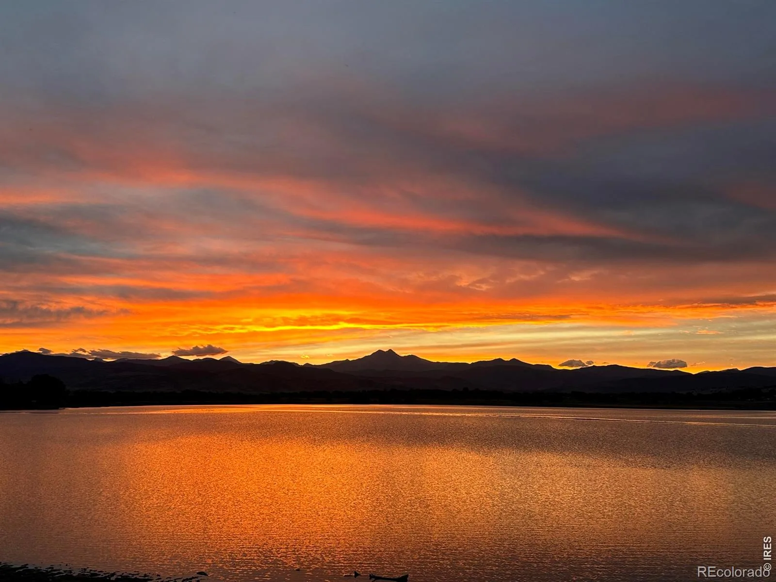 1900 N Shore Drive Longmont CO 80503 | MLS #RECIR1065886 08062026193730 1600 48