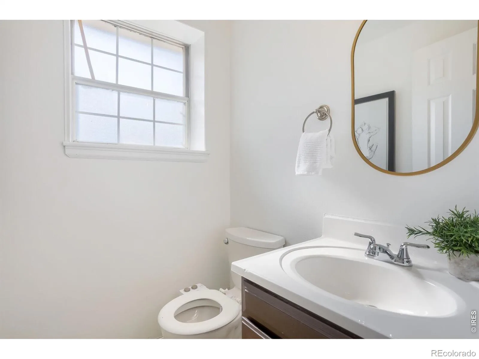 2100 Bowen Street Longmont CO 80501 | MLS #RECIR1065919 08062026213133 1600 19