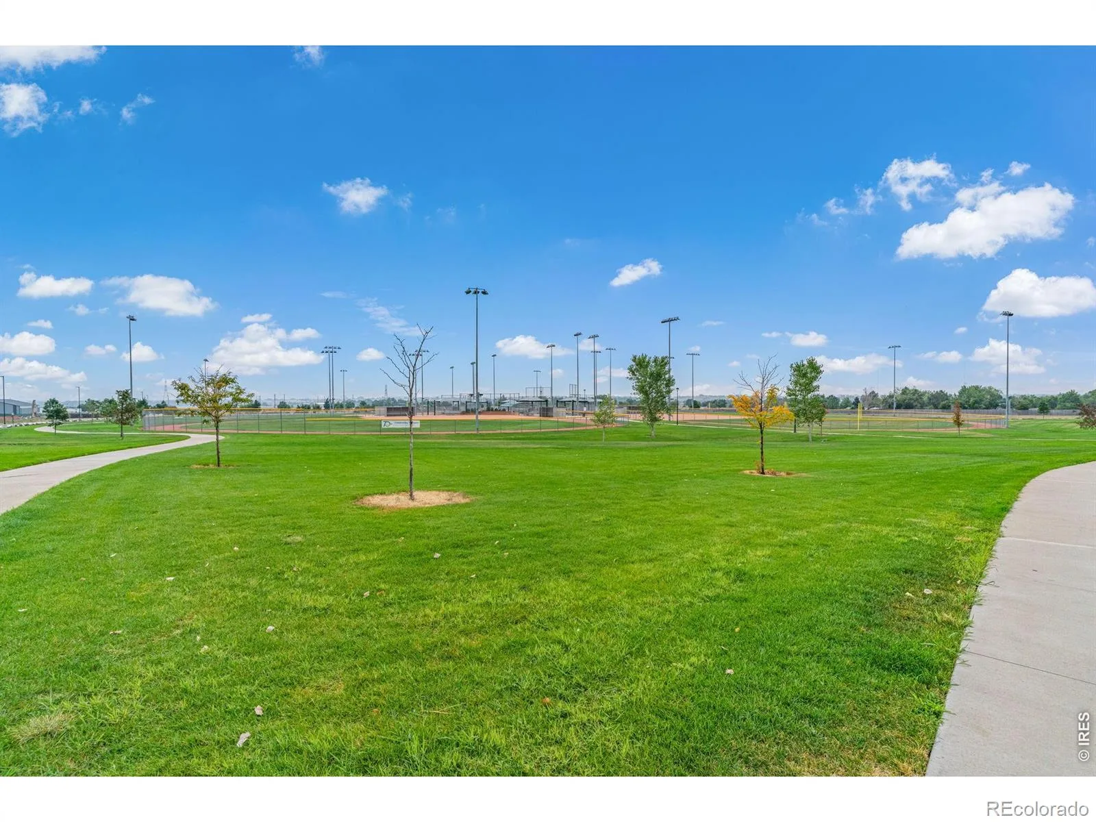 4438 E 95th Court Thornton CO 80229 | MLS #RECIR1065937 08132026005215 1600 33