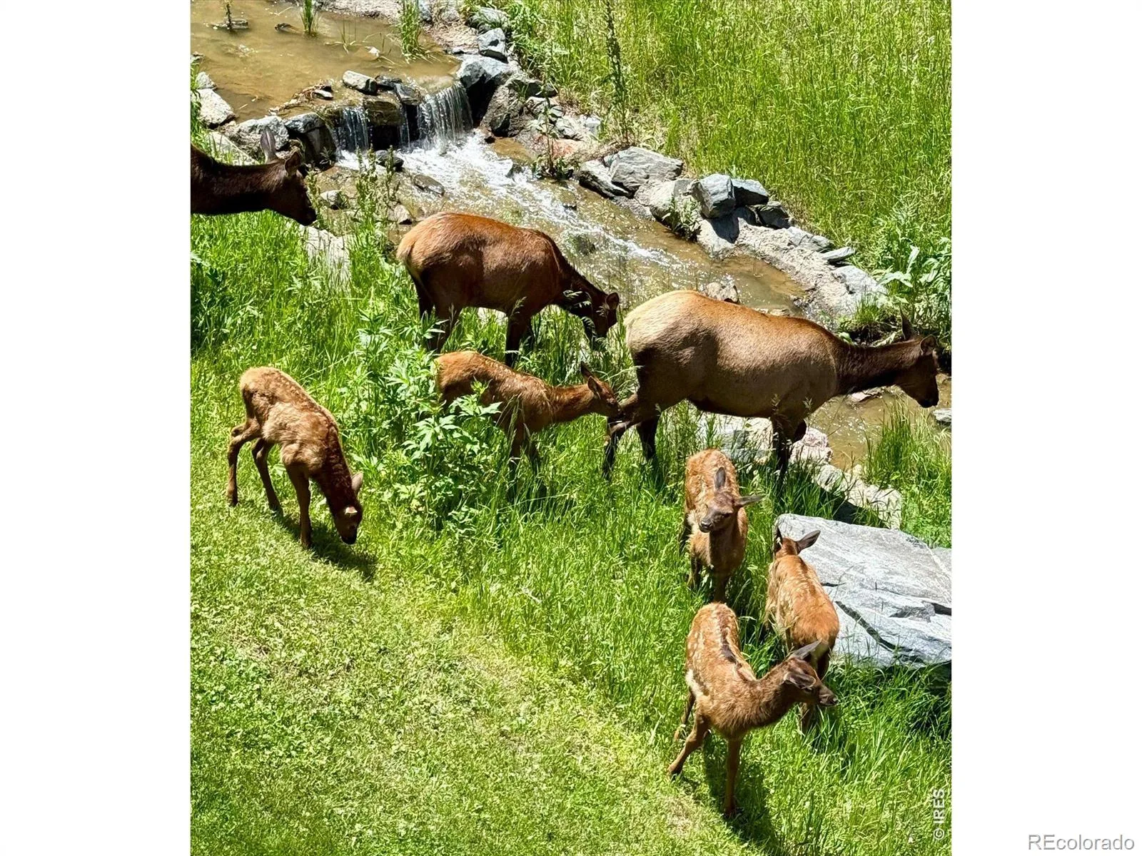 08062026233729 1600 32