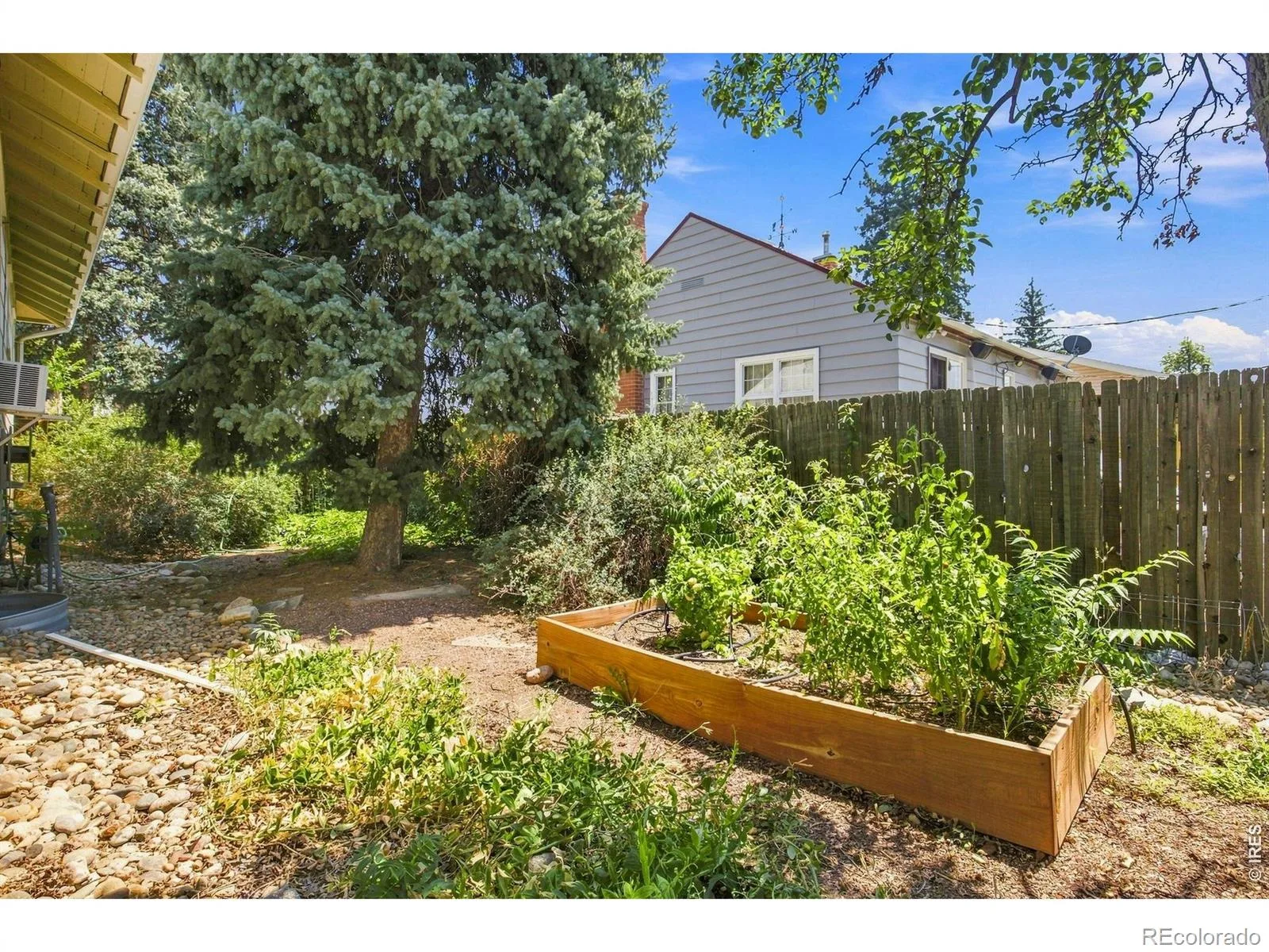 3177 Ames Street Wheat Ridge CO 80214 | MLS #RECIR1065960 08072026151944 1600 27