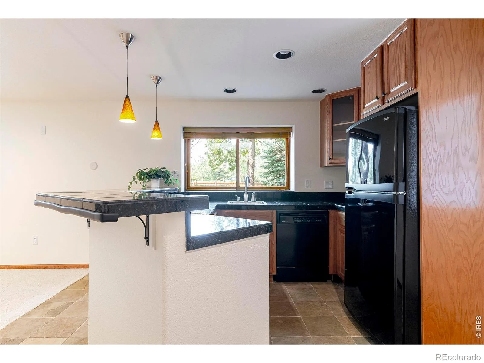 1035 Sage Street Broomfield CO 80020 | MLS #RECIR1065987 08072026172901 1600 35