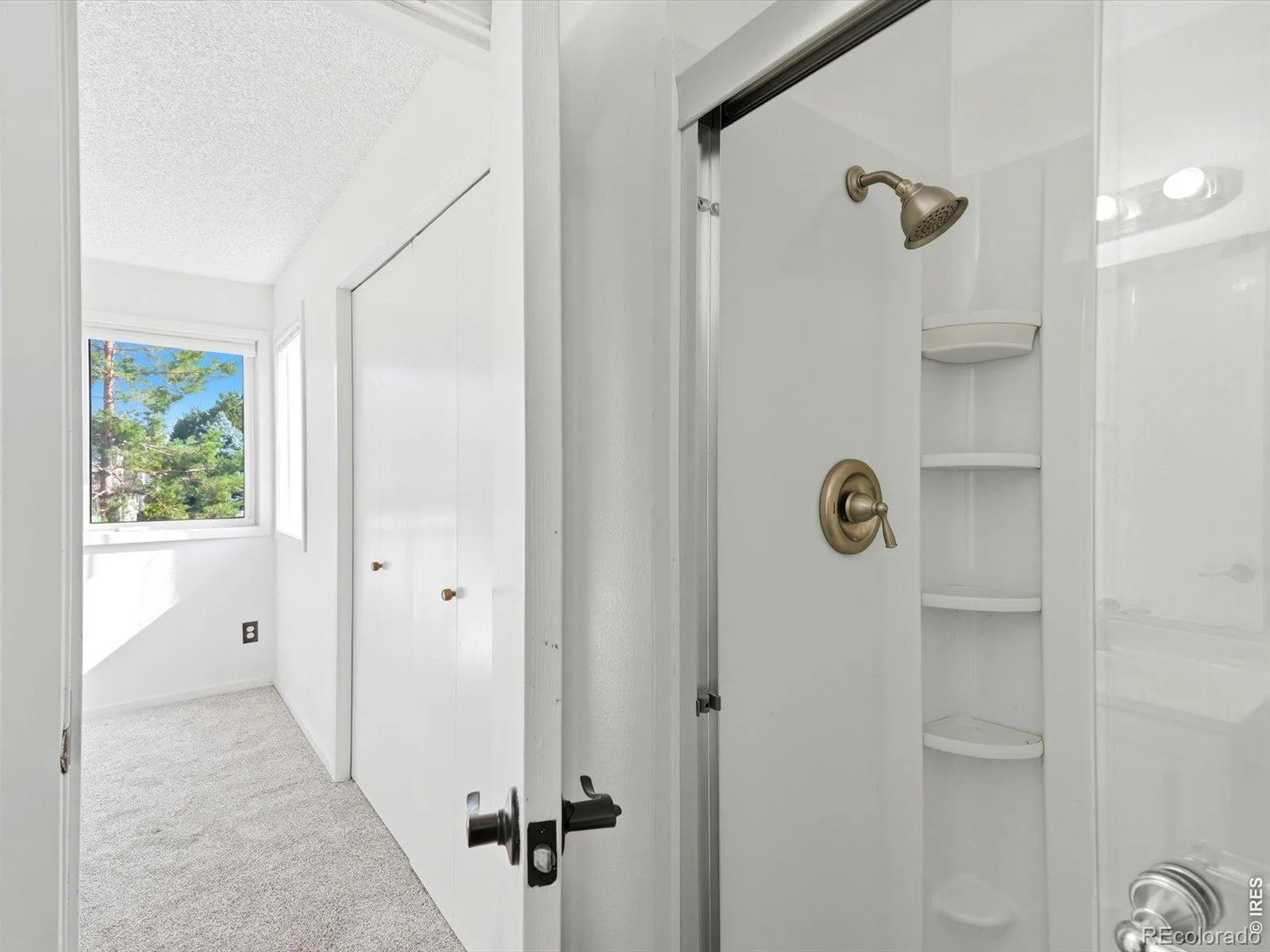 50 19th Avenue #30 Longmont CO 80501 | MLS #RECIR1066033 08072026220048 1600 8