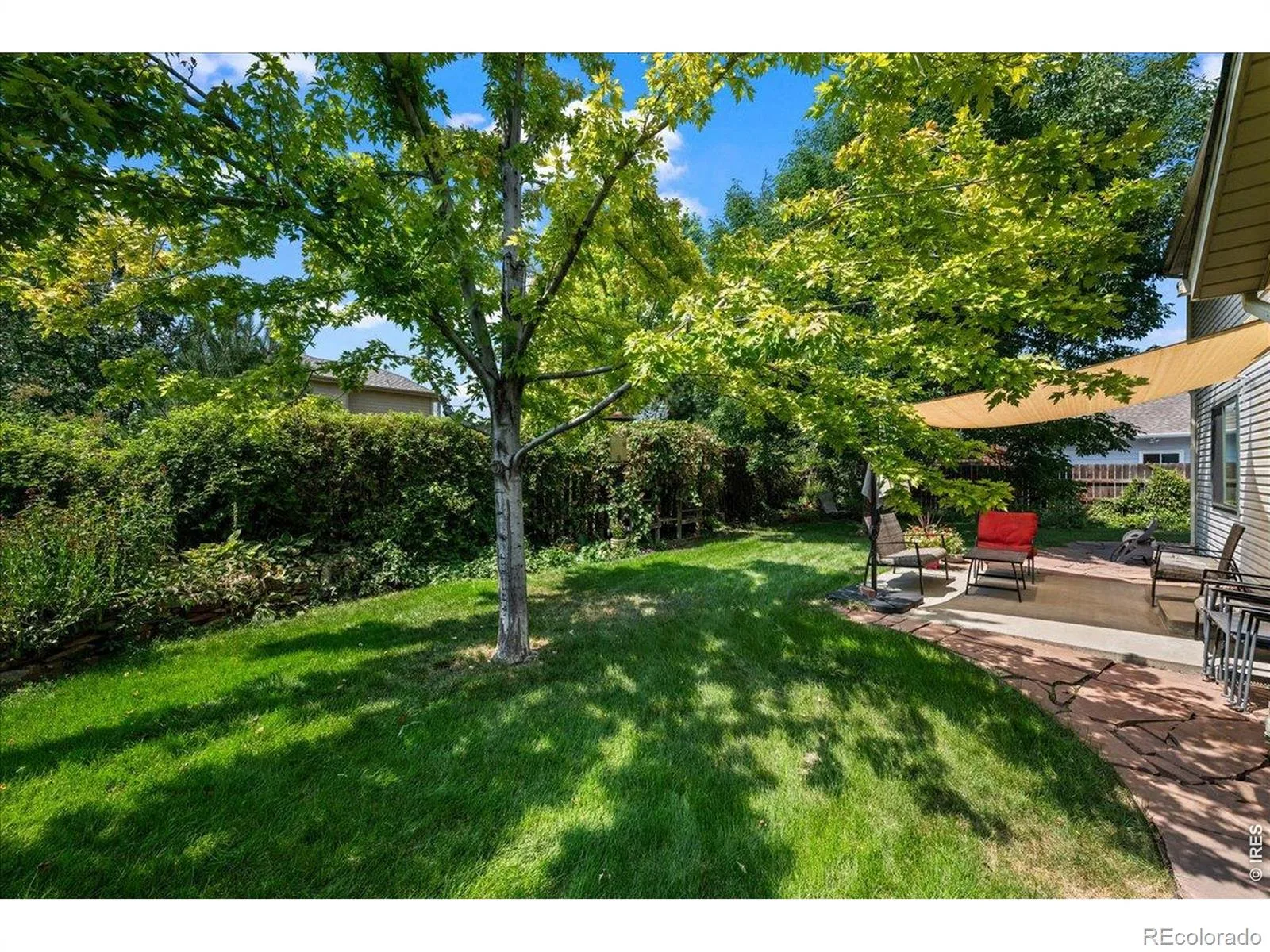 2431 Maplewood E Circle Longmont CO 80503 | MLS #RECIR1066104 08192026210813 1600 25