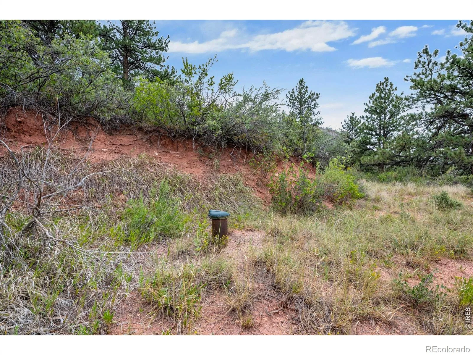 TBD Blue Mountain Trail Longmont CO 80503 | MLS #RECIR1066129 08102026163731 1600 37