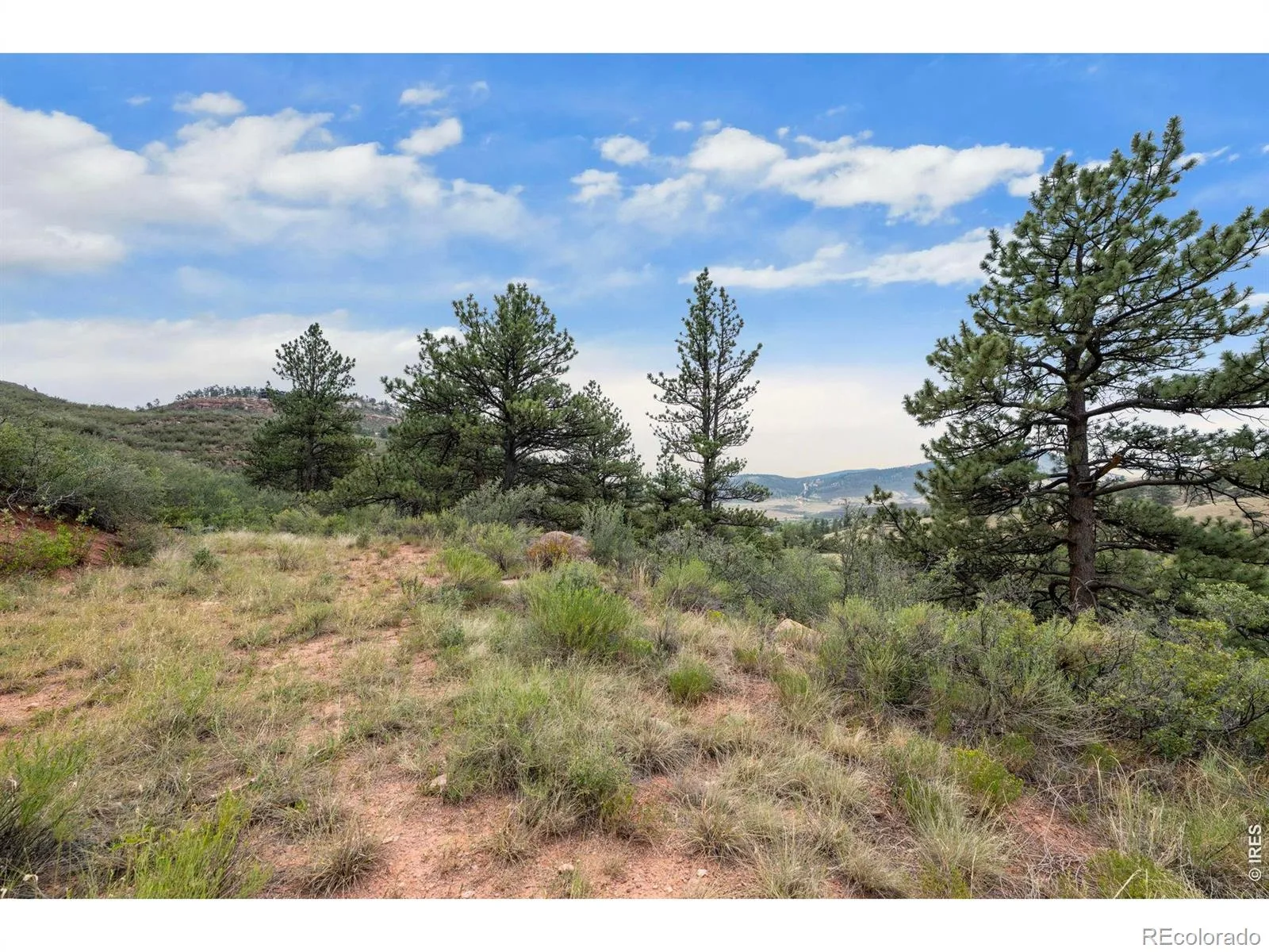 TBD Blue Mountain Trail Longmont CO 80503 | MLS #RECIR1066129 08102026163731 1600 39
