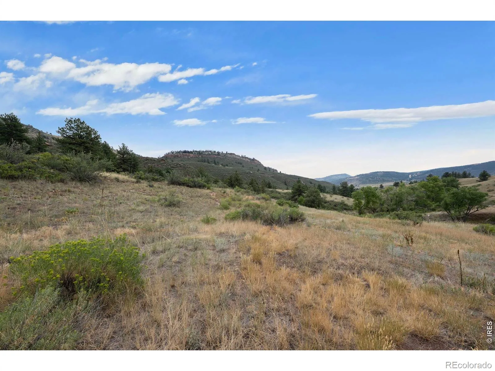TBD Blue Mountain Trail Longmont CO 80503 | MLS #RECIR1066129 08102026163731 1600 42