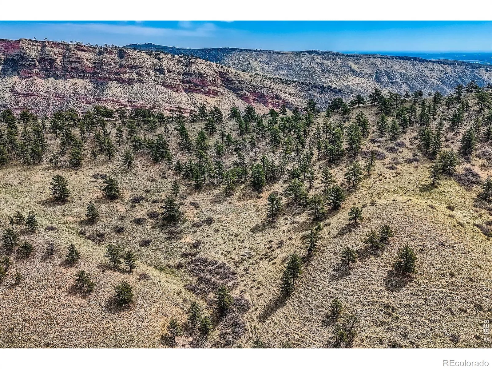 16450 Dakota Ridge Road Longmont CO 80503 | MLS #RECIR1066173 08112026135524 1600 27