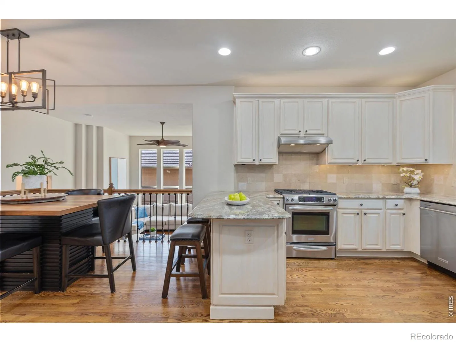 6874 Raspberry Run Littleton CO 80125 | MLS #RECIR1066223 08112026215604 1600 11