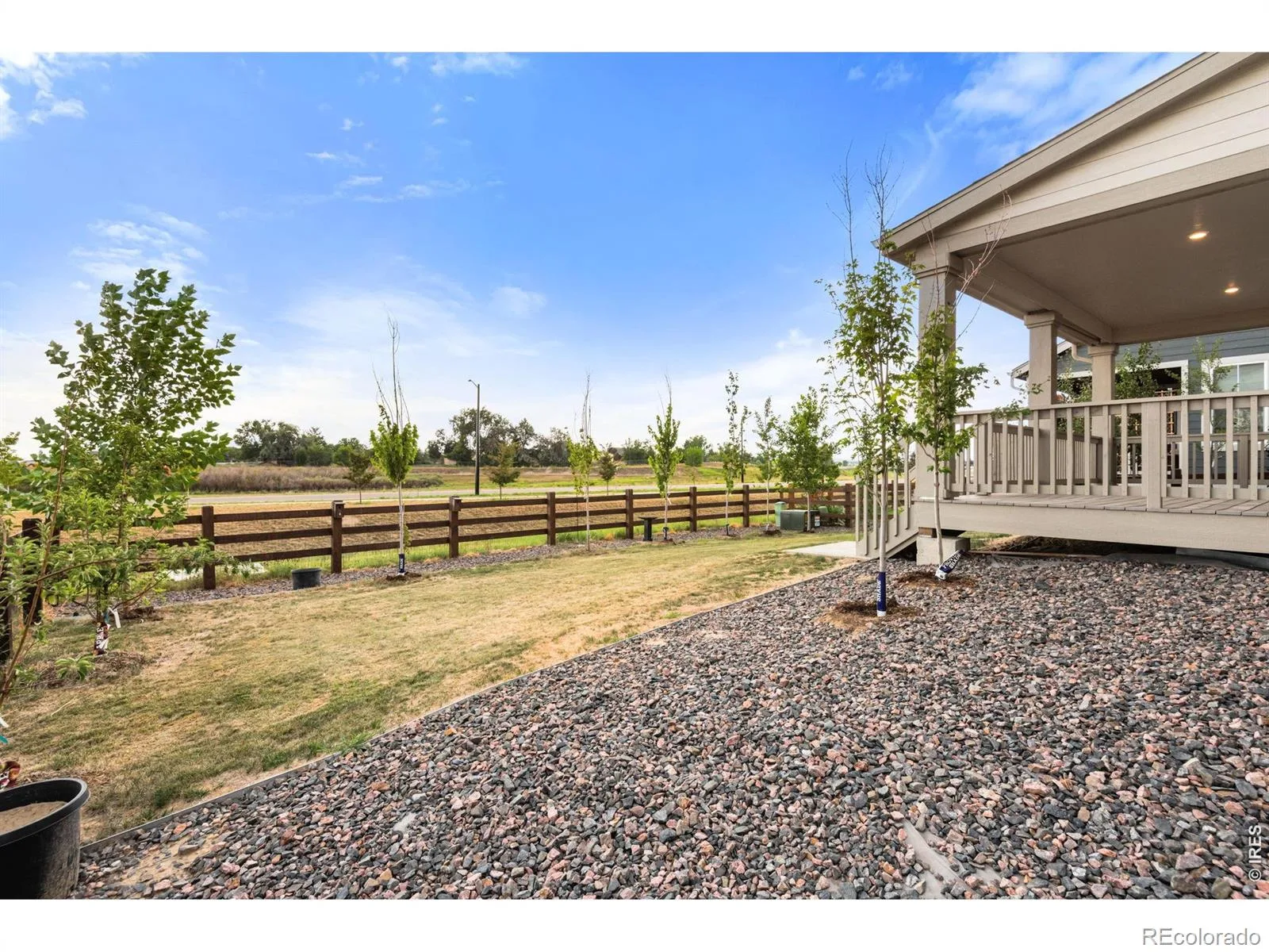 1884 Myron Court Erie CO 80516 | MLS #RECIR1066317 08142026005021 1600 21