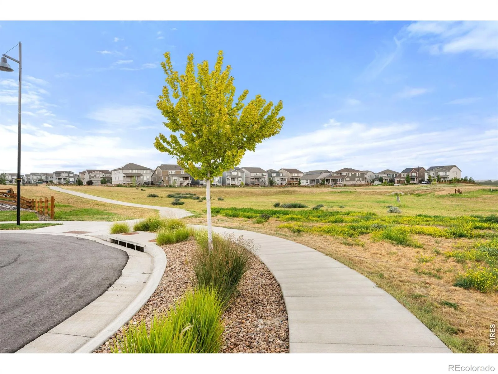 1884 Myron Court Erie CO 80516 | MLS #RECIR1066317 08142026005021 1600 45