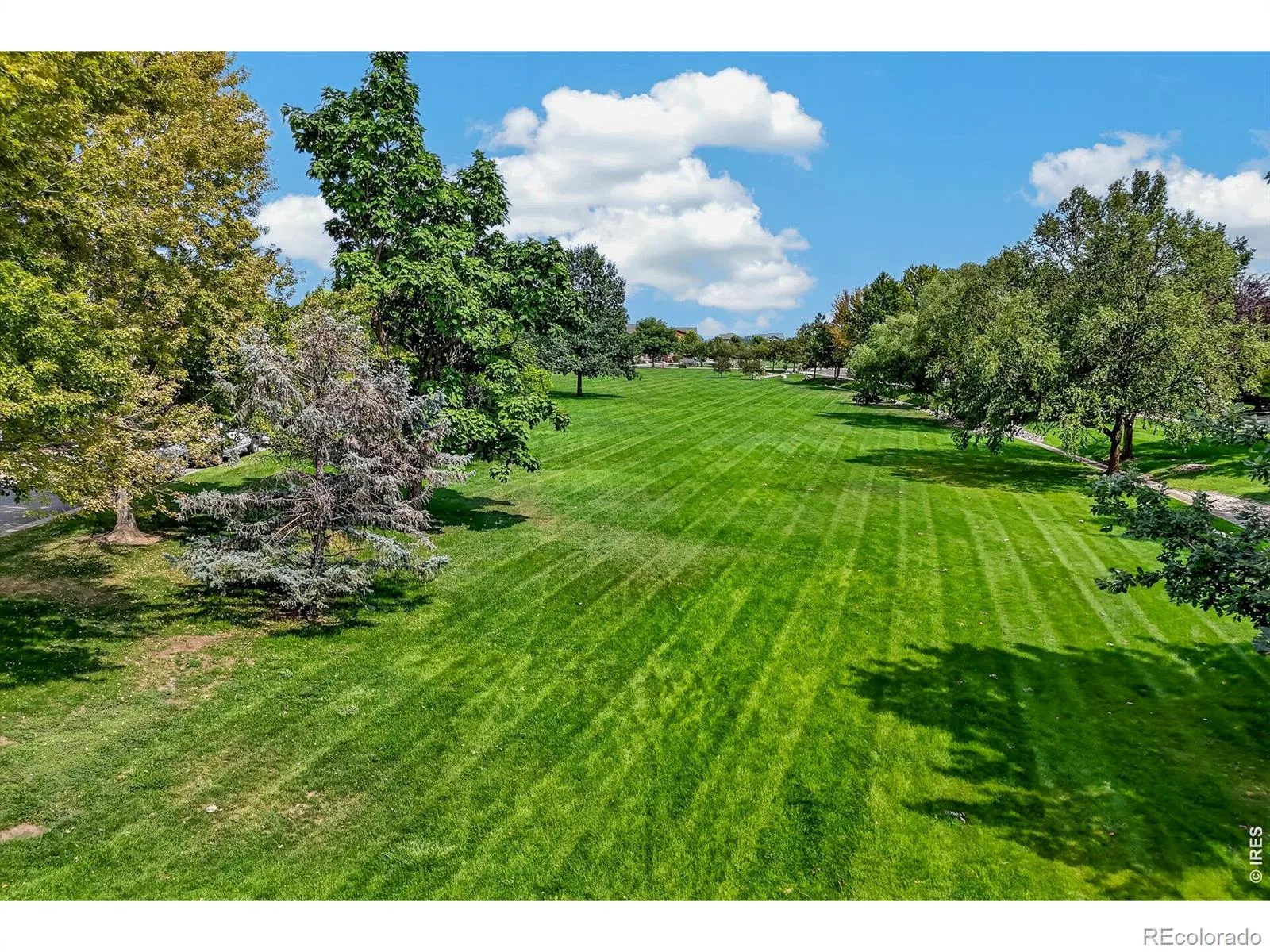 510 N Parkside Drive #E Longmont CO 80501 | MLS #RECIR1066336 08132026015518 1600 4