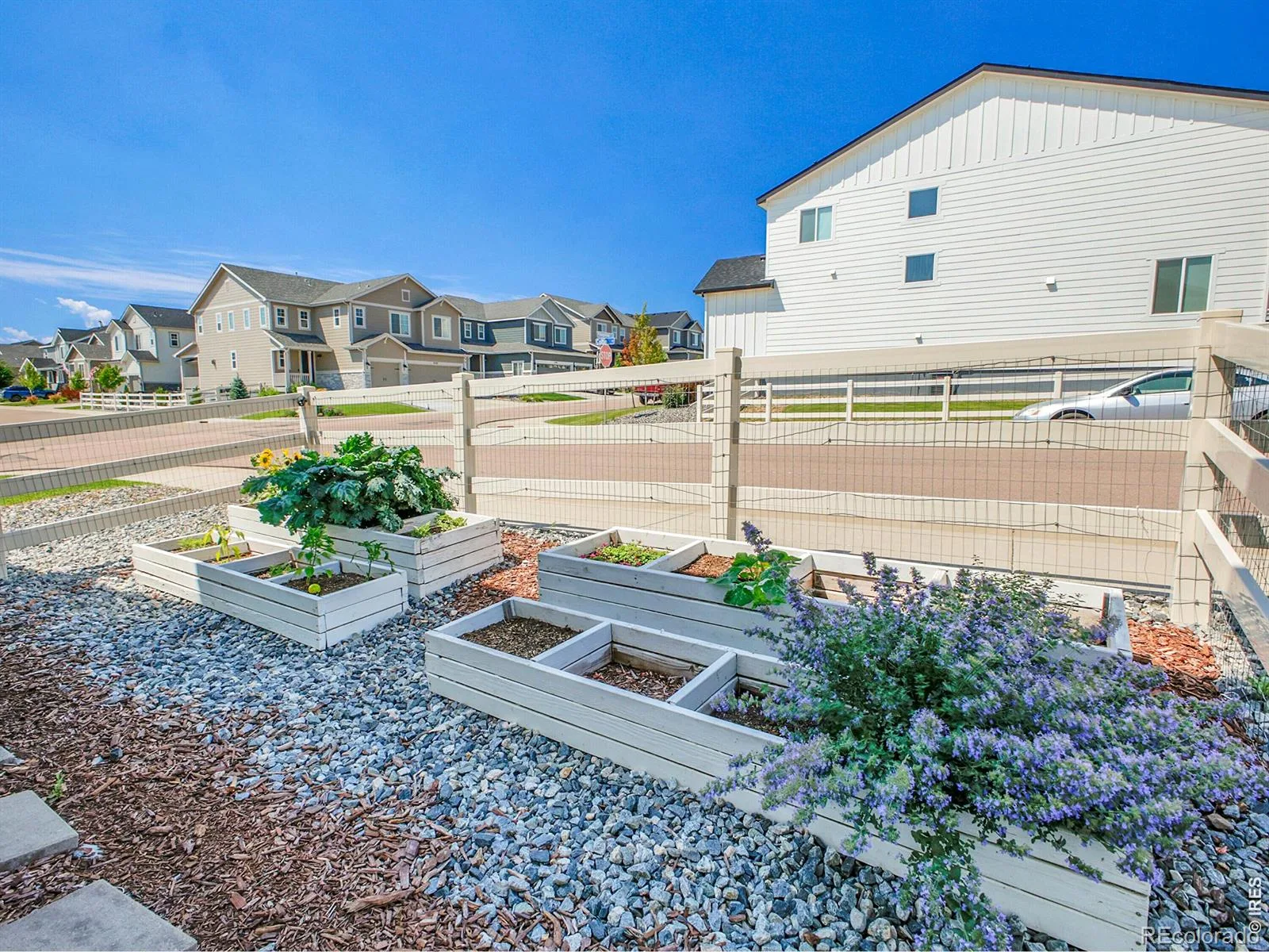 2545 Villageview Lane Castle Rock CO 80104 | MLS #RECIR1066392 08132026190712 1600 25