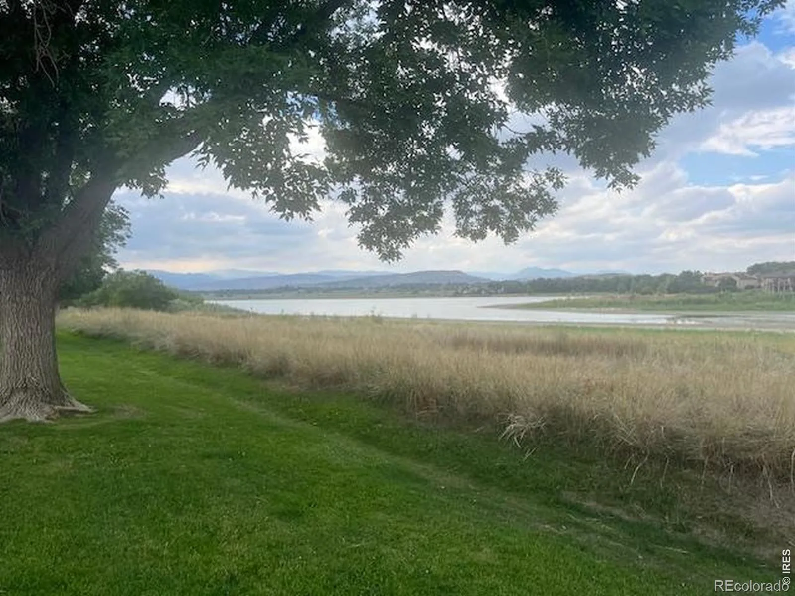 2305 Lake Park Drive Longmont CO 80503 | MLS #RECIR1066454 08142026023421 1600 39