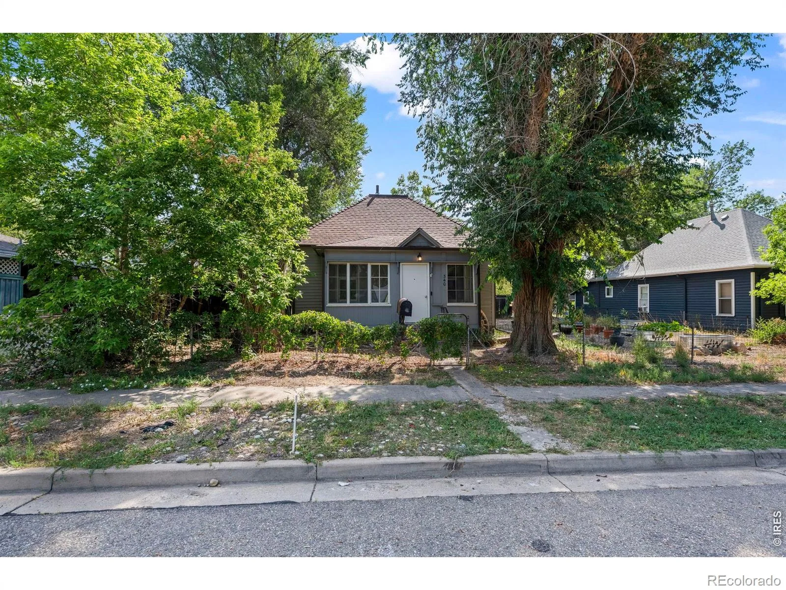 340 Atwood Street Longmont CO 80501 | MLS #RECIR1066468 08142026142241 1600 2