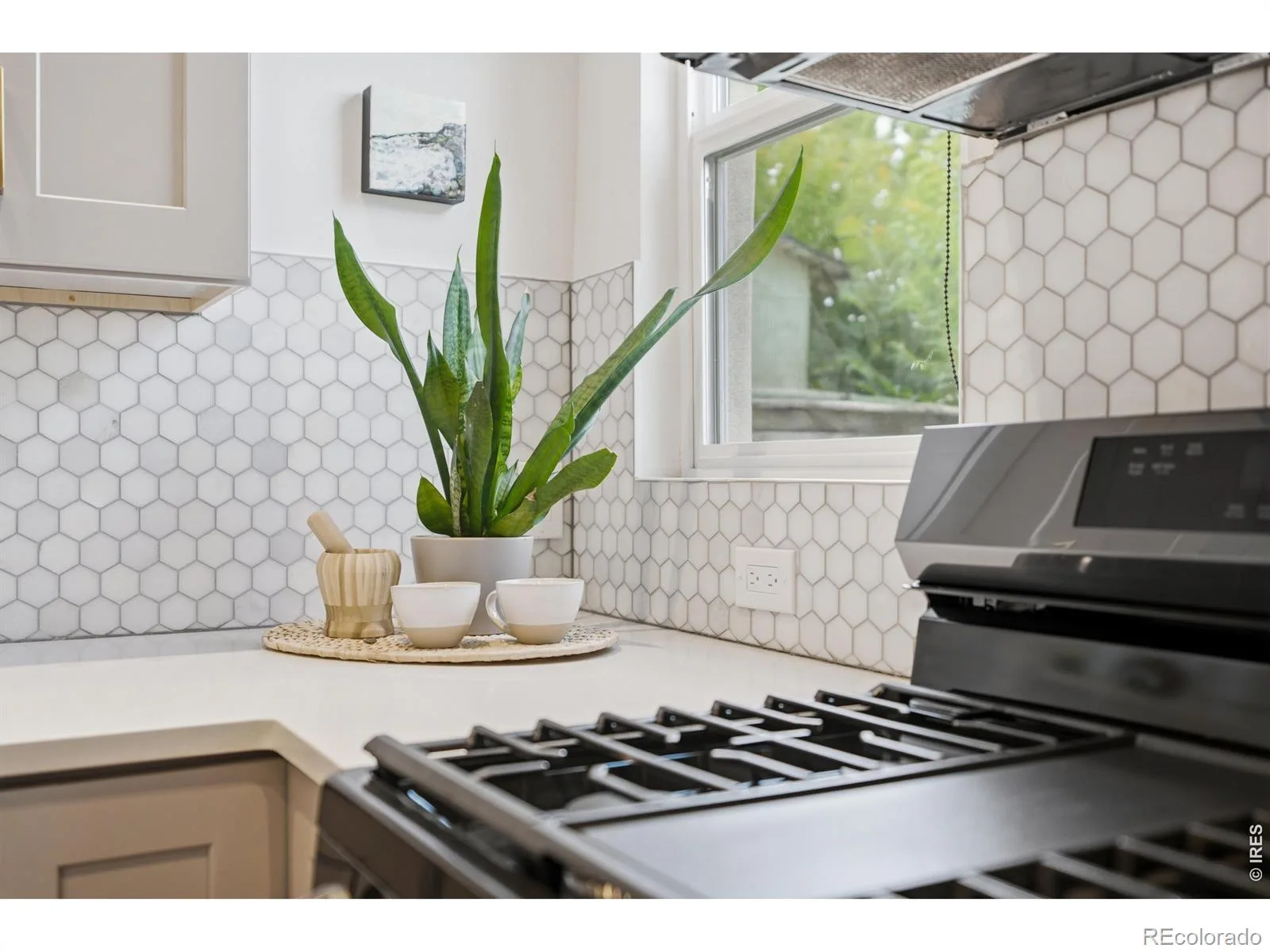 1419 S Acoma Street Denver CO 80223 | MLS #RECIR1066480 08142026155914 1600 19