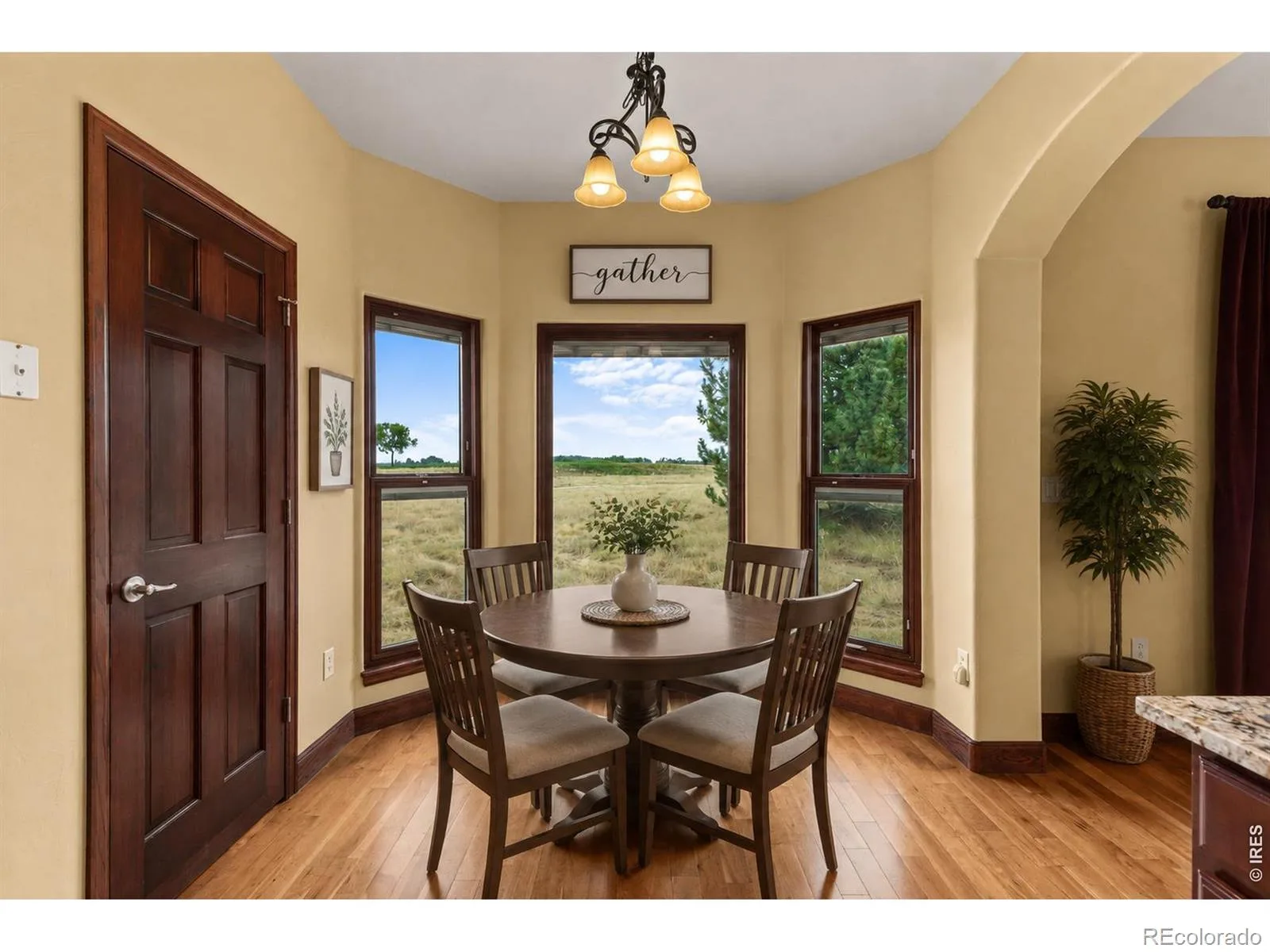 8703 Wild Horse Way Frederick CO 80504 | MLS #RECIR1066570 08162026054527 1600 14