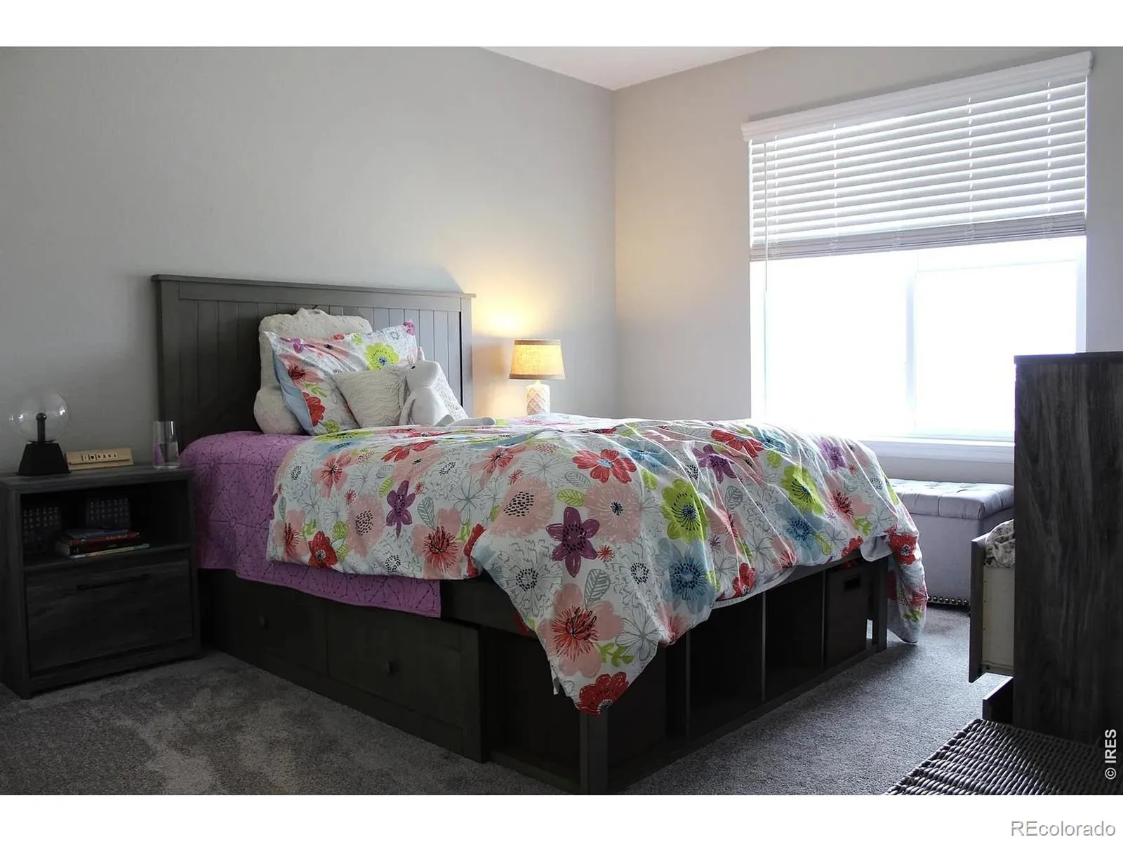 4541 Prairie River Court Firestone CO 80504 | MLS #RECIR1066648 08172026222726 1600 13