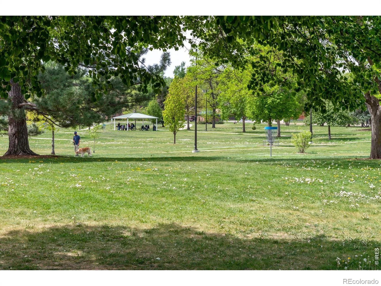 1266 Lanyon Lane Longmont CO 80503 | MLS #RECIR1066758 08242026013319 1600 20