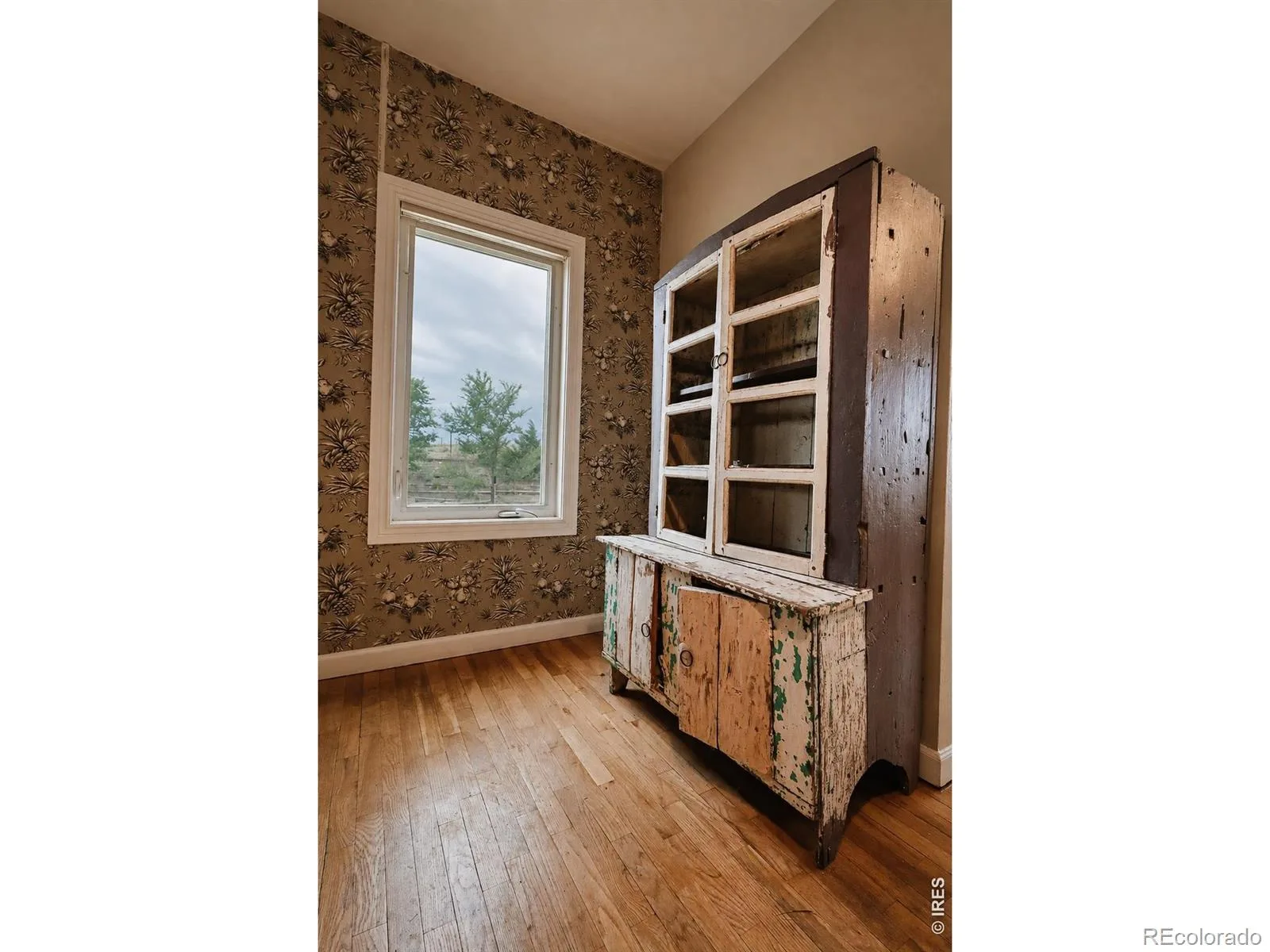 11742 N 59th Street Longmont CO 80503 | MLS #RECIR1066807 08202026000619 1600 6