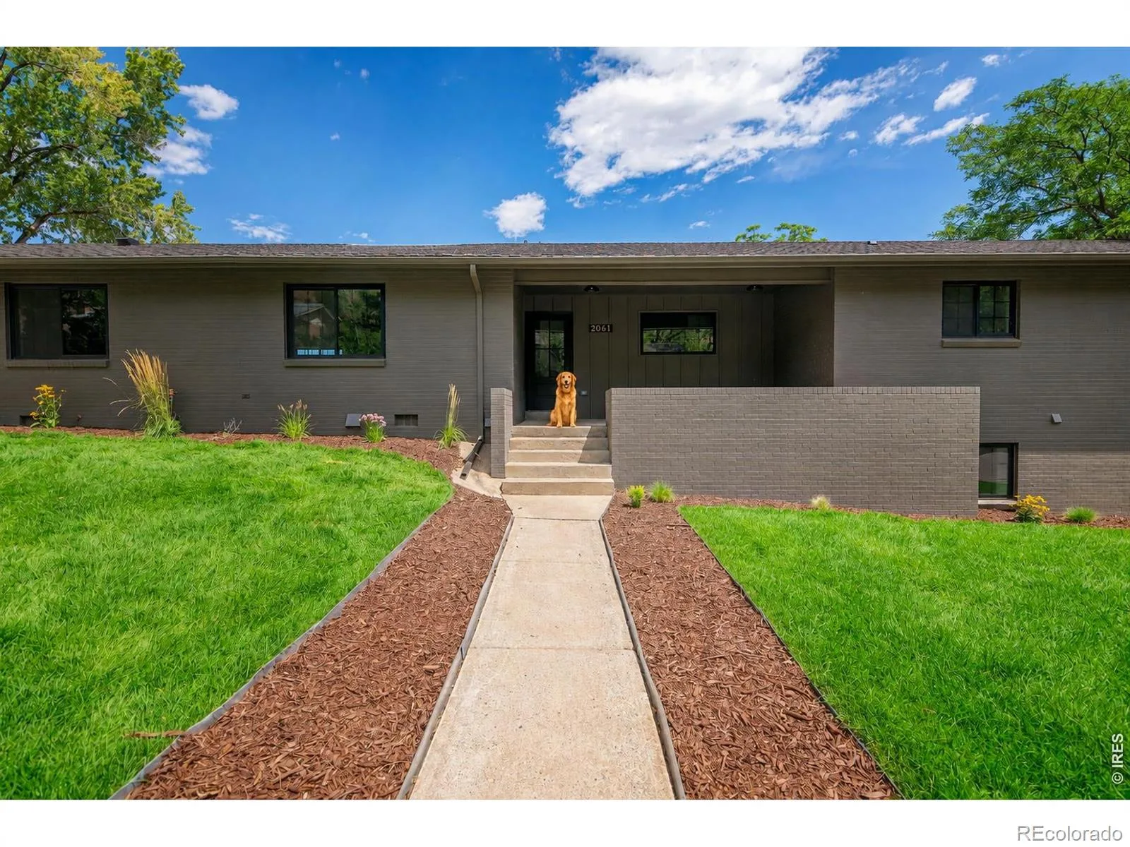 2061 Mt Zion Drive Golden CO 80401 | MLS #RECIR1066812 08202026011731 1600 8