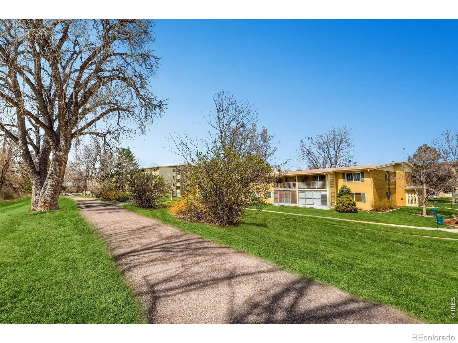 680 S Alton Way #1B #41 Denver CO 80247 | MLS #RECIR1066814 08202026014239 1600 26