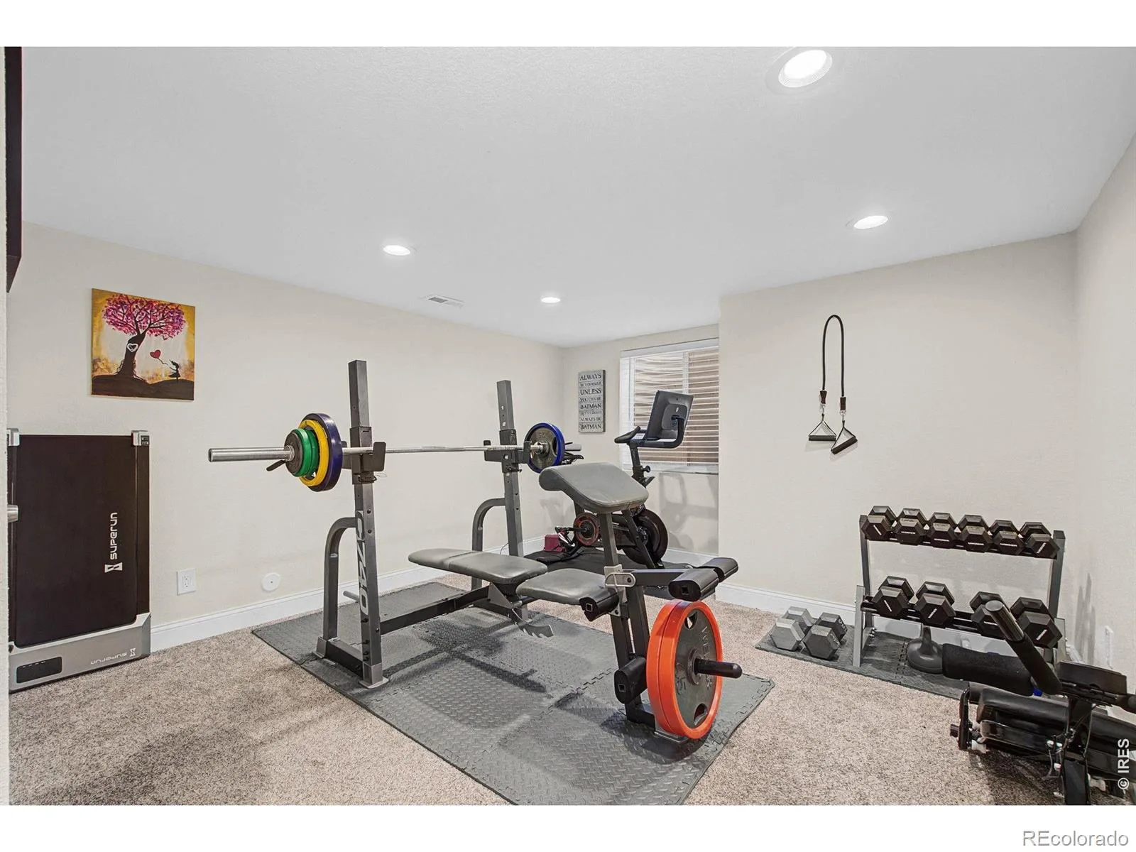 10024 Wyandott S Circle Thornton CO 80260 | MLS #REC6743888 08212026193809 1600 16