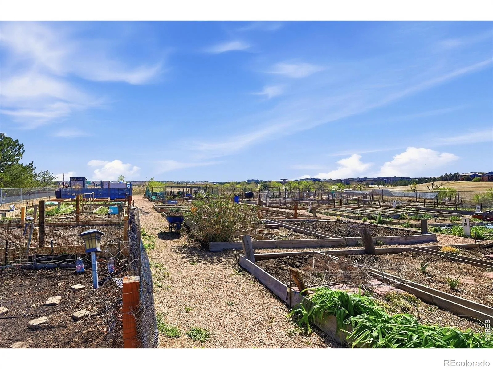 2040 Shamrock Drive Superior CO 80027 | MLS #RECIR1067018 08212026223055 1600 11