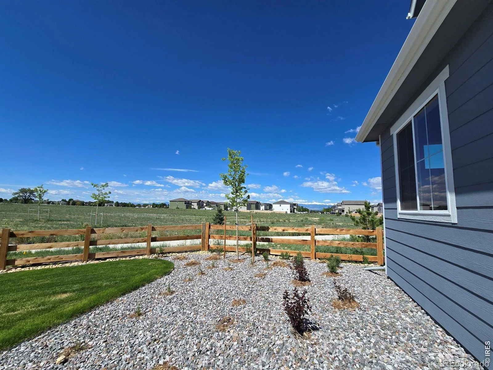 7331 Swan River Street Frederick CO 80530 | MLS #RECIR1067023 08212026230043 1600 31