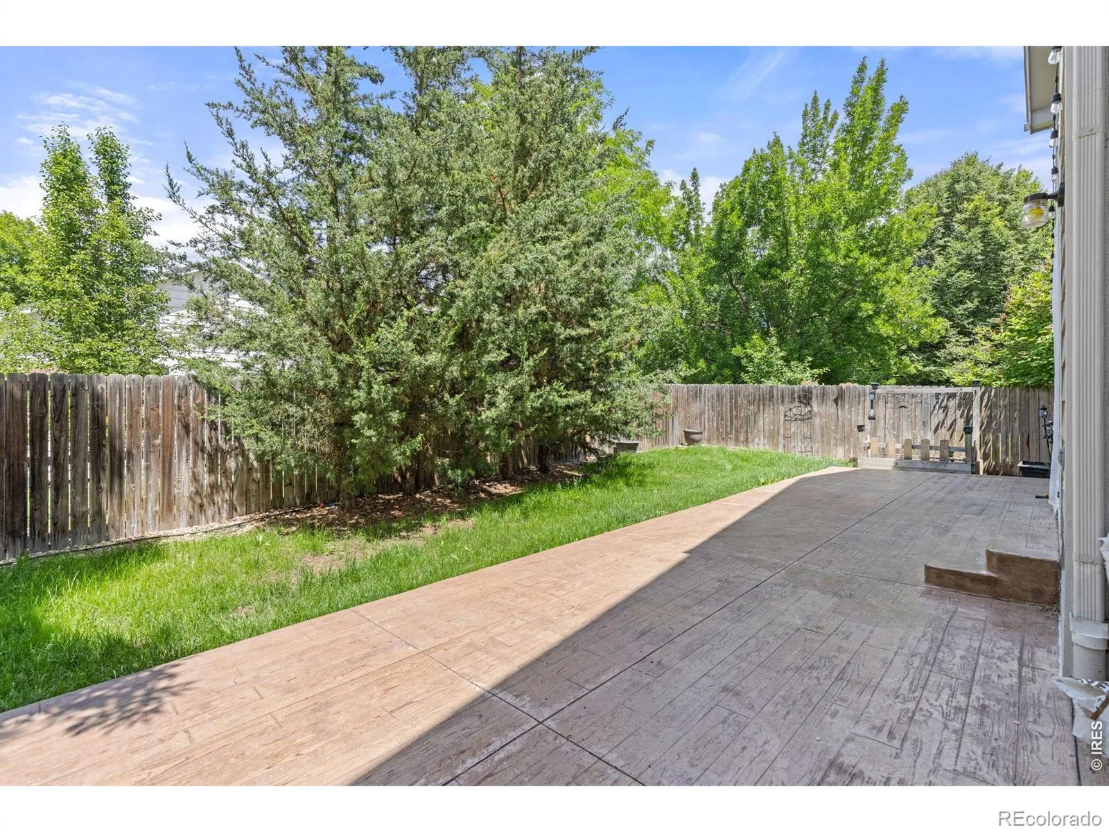 6411 Sparrow Avenue Firestone CO 80504 | MLS #RECIR1067087 08242026131631 1600 35