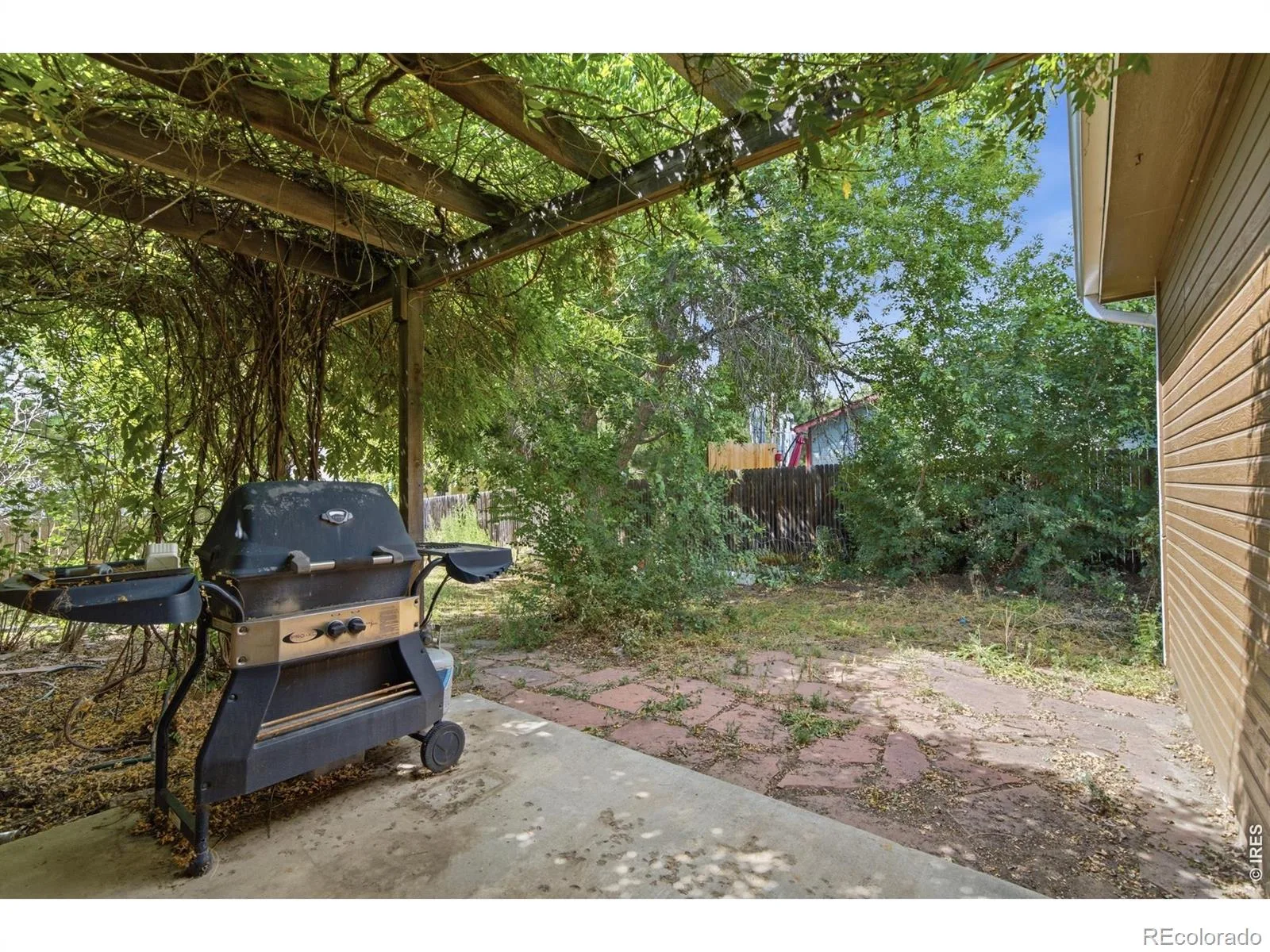 347 Walnut Drive Frederick CO 80530 | MLS #RECIR1067120 08252026175016 1600 27