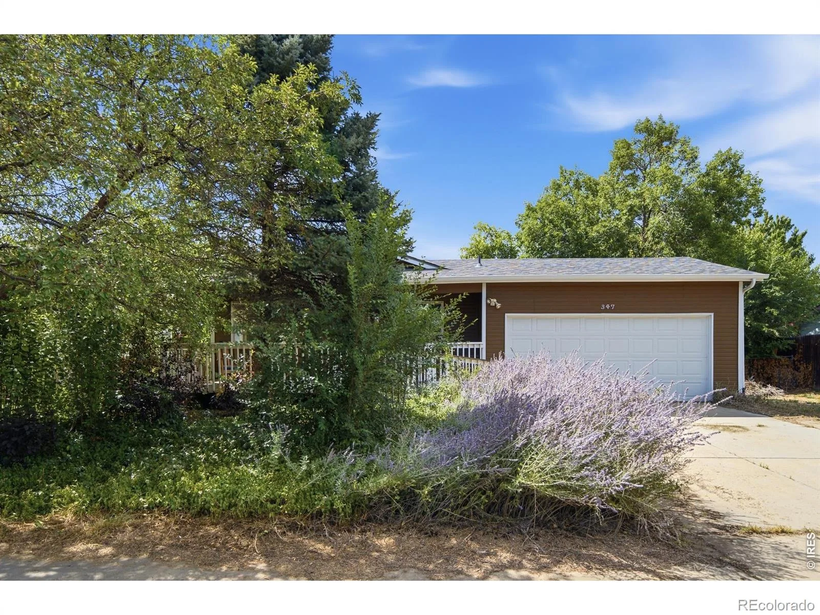 347 Walnut Drive Frederick CO 80530 | MLS #RECIR1067120 08252026175016 1600 6
