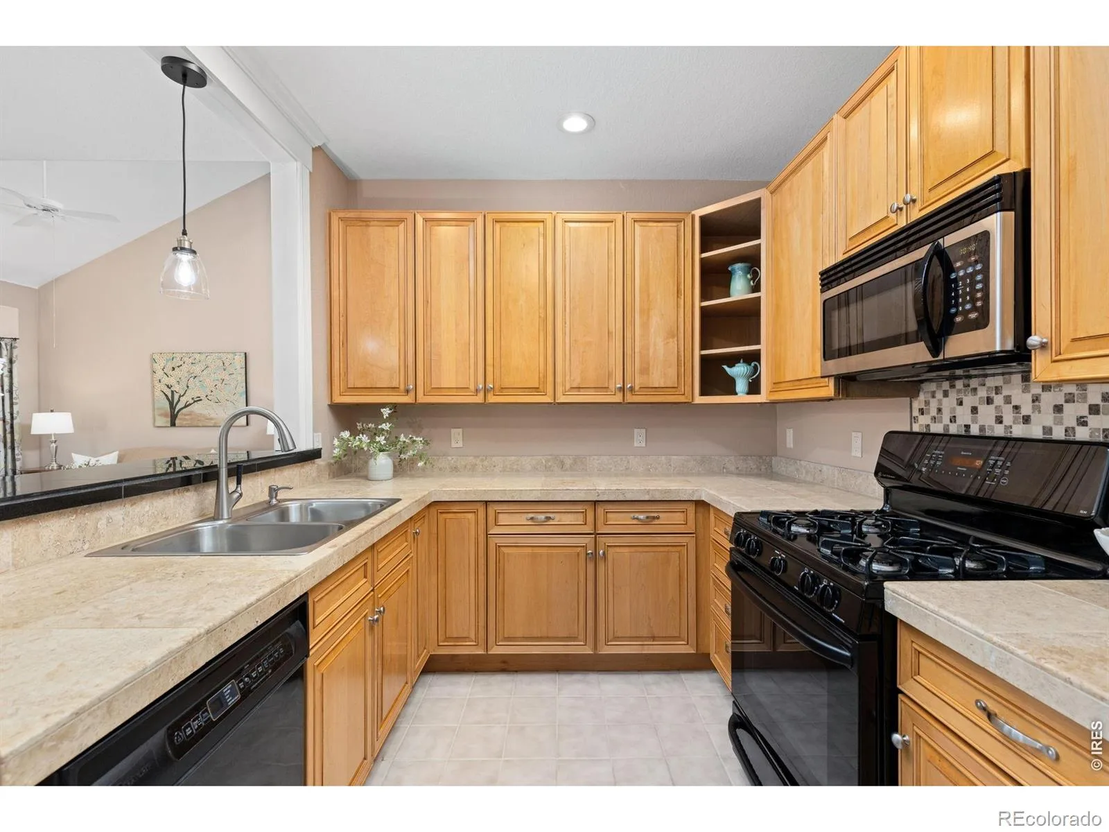 6296 Terry Street Arvada CO 80403 | MLS #RECIR1067169 08252026175008 1600 13