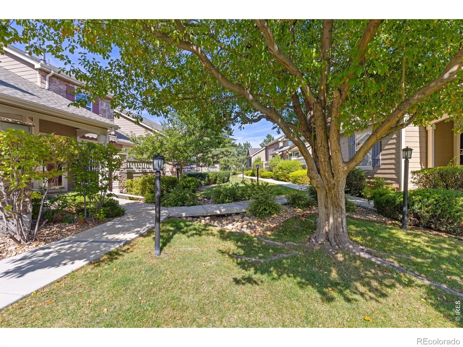 6296 Terry Street Arvada CO 80403 | MLS #RECIR1067169 08252026175008 1600 2