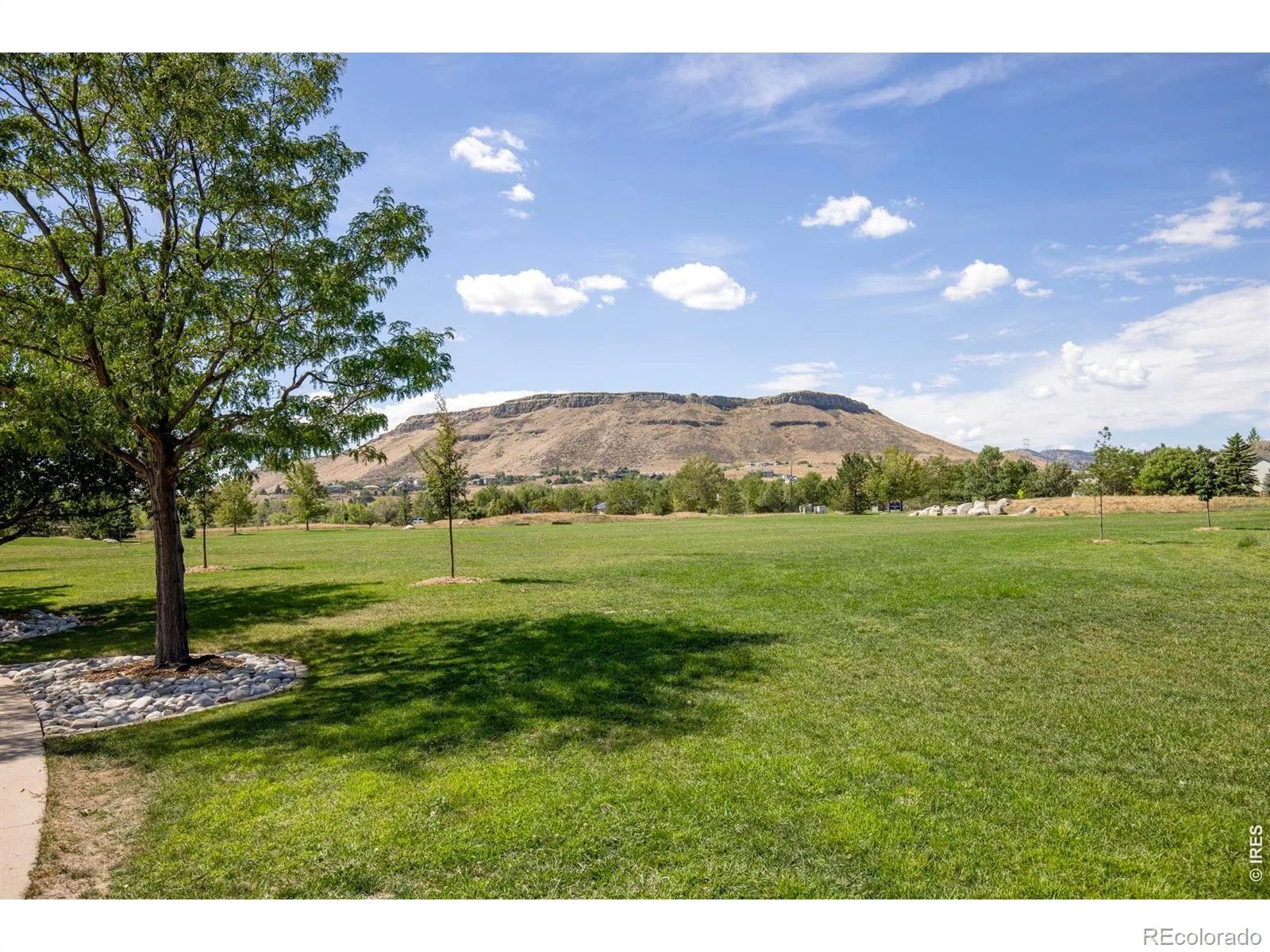 6296 Terry Street Arvada CO 80403 | MLS #RECIR1067169 08252026175008 1600 39