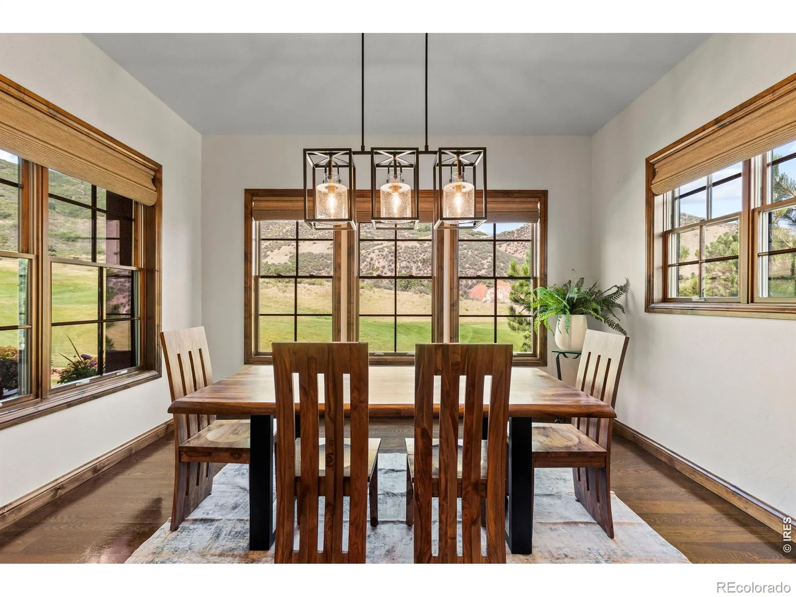 8079 Galileo Way Littleton CO 80125 | MLS #RECIR1067208 08252026211704 1600 18