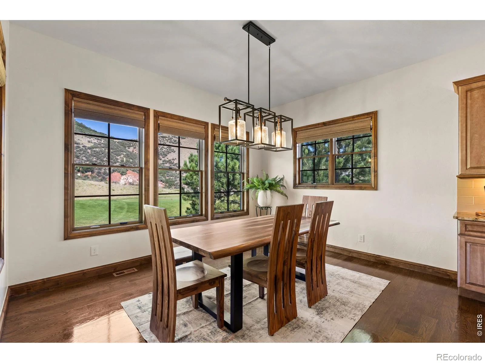 8079 Galileo Way Littleton CO 80125 | MLS #RECIR1067208 08252026211704 1600 19