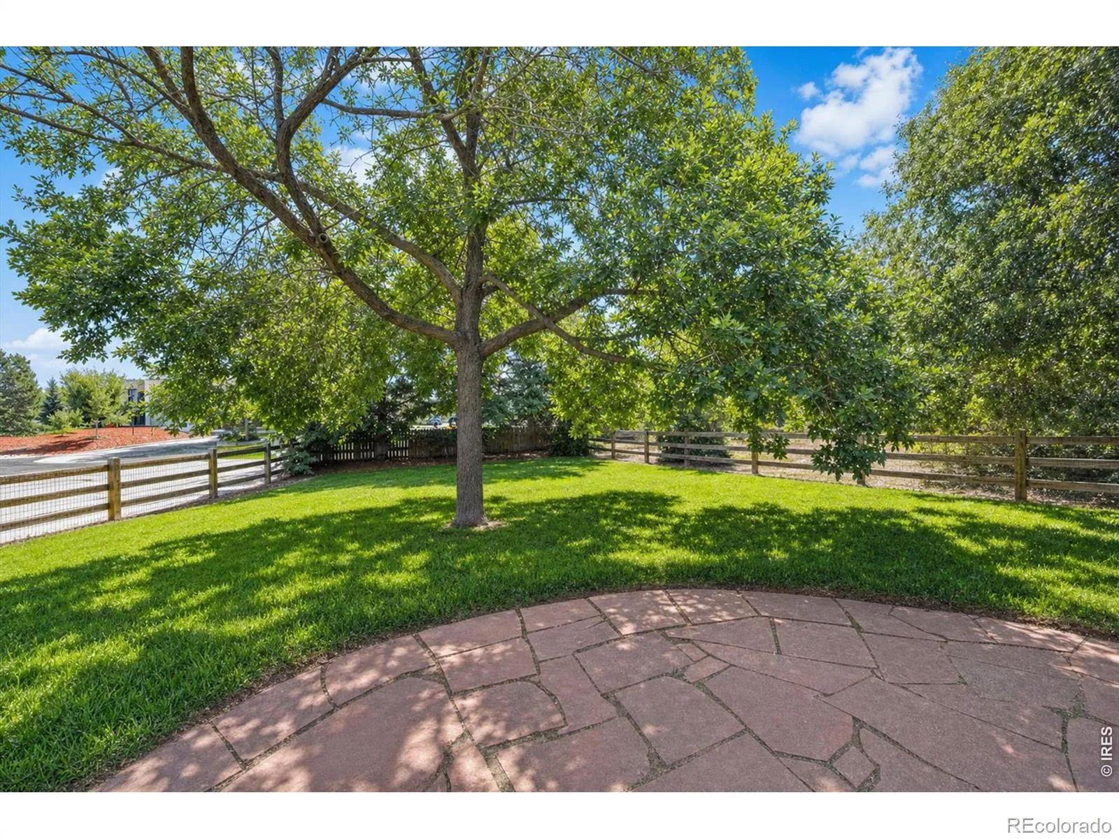 955 Marfell Street Erie CO 80516 | MLS #RECIR1067242 08262026154904 1600 40