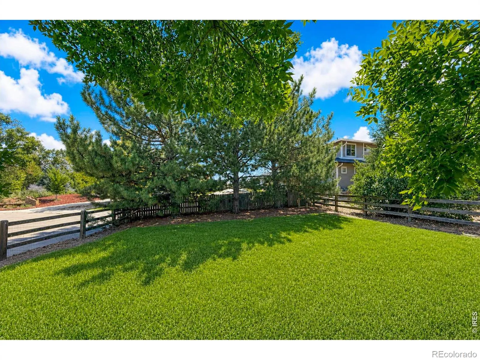 955 Marfell Street Erie CO 80516 | MLS #RECIR1067242 08262026154904 1600 41