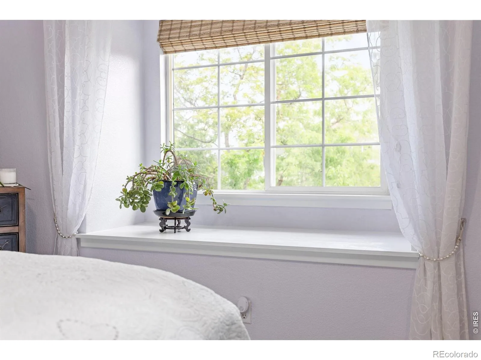 803 Beauprez Avenue Lafayette CO 80026 | MLS #RECIR1067269 08262026210902 1600 13