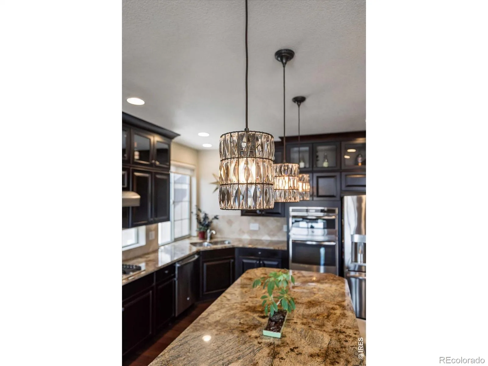 584 Indian Peaks Drive Erie CO 80516 | MLS #RECIR1067312 08272026140316 1600 9