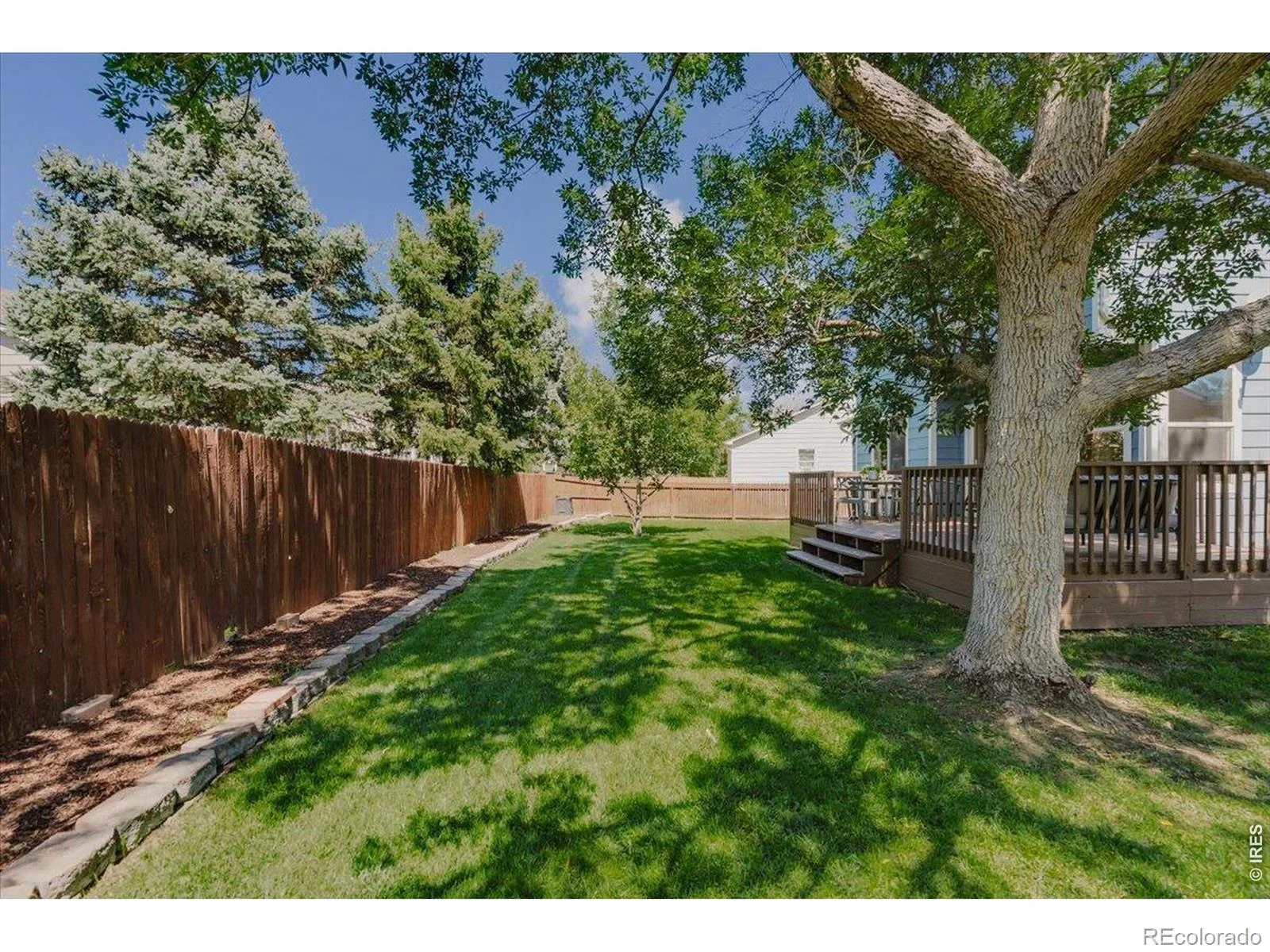 659 Nelson Park Lane Longmont CO 80503 | MLS #RECIR1067346 08282026003723 1600 43