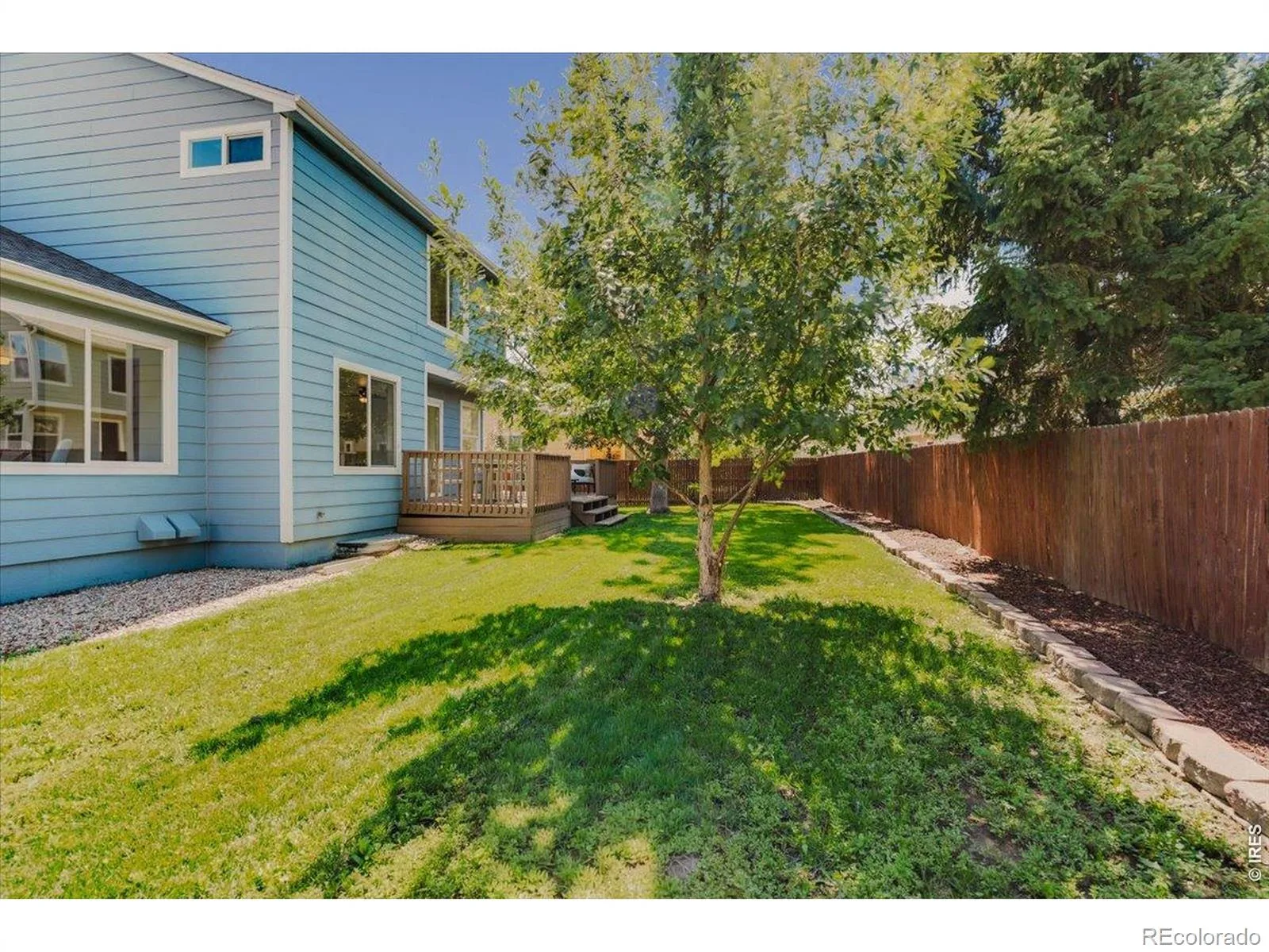 659 Nelson Park Lane Longmont CO 80503 | MLS #RECIR1067346 08282026003723 1600 46