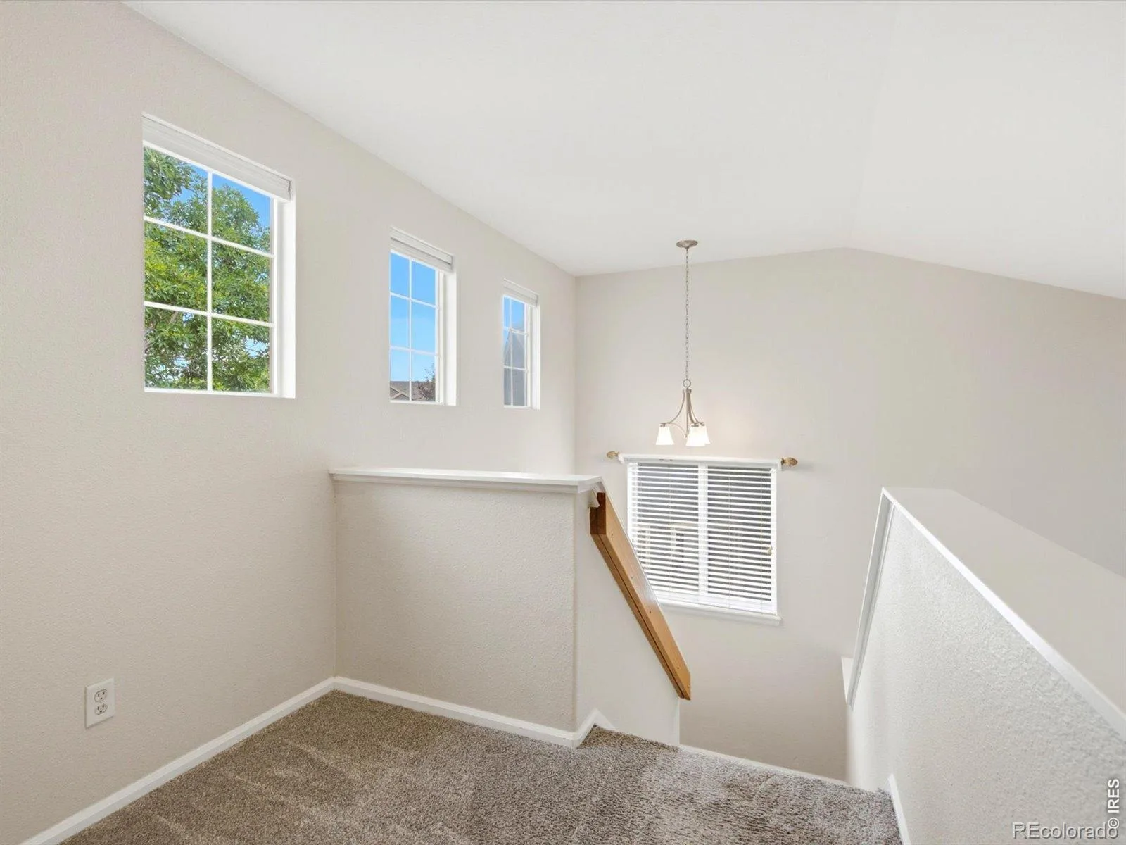 5911 Thistle Ridge Avenue Longmont CO 80504 | MLS #RECIR1067351 08282026155034 1600 16