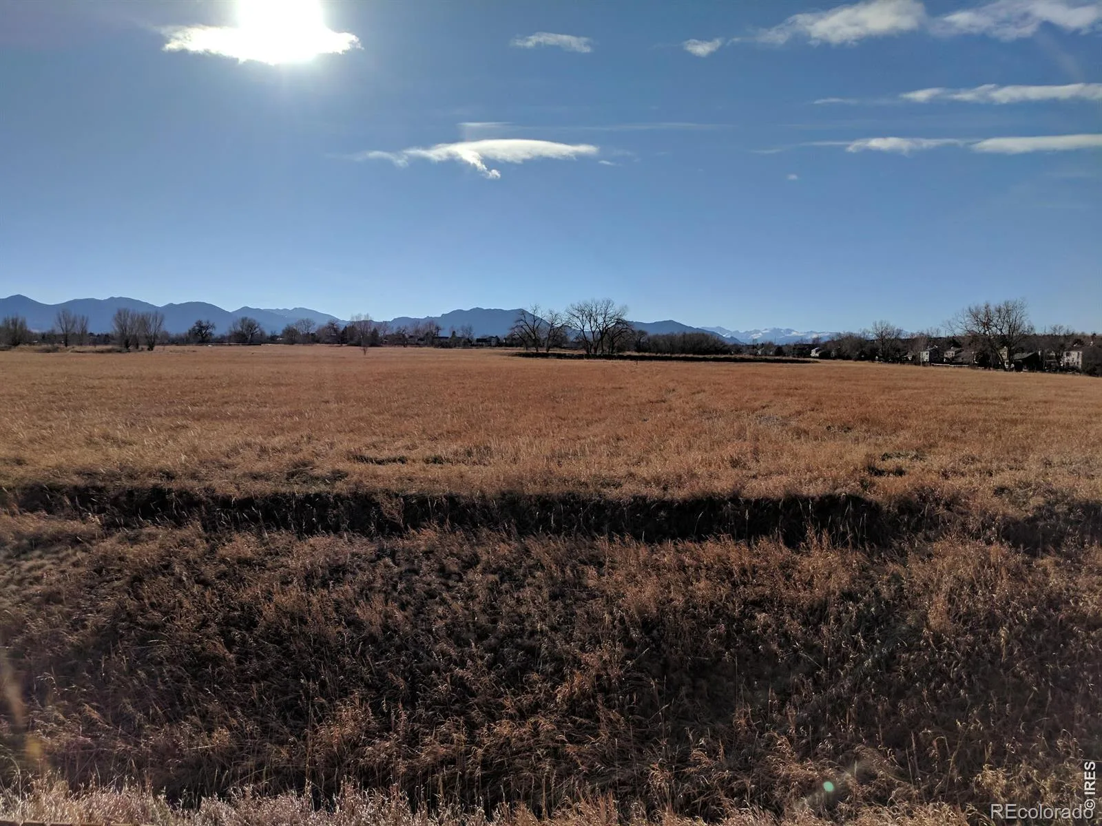 444 Grouse Court Louisville CO 80027 | MLS #RECIR1067359 08282026203811 1600 46