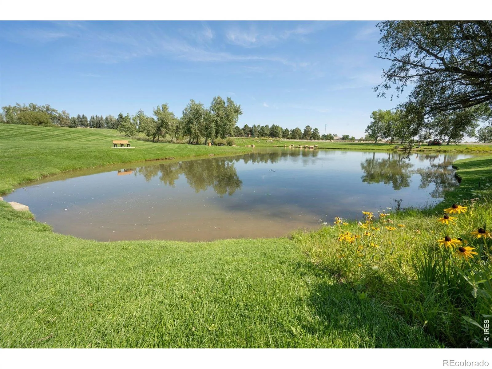 2141 Dailey Street Superior CO 80027 | MLS #RECIR1067378 08272026202526 1600 47