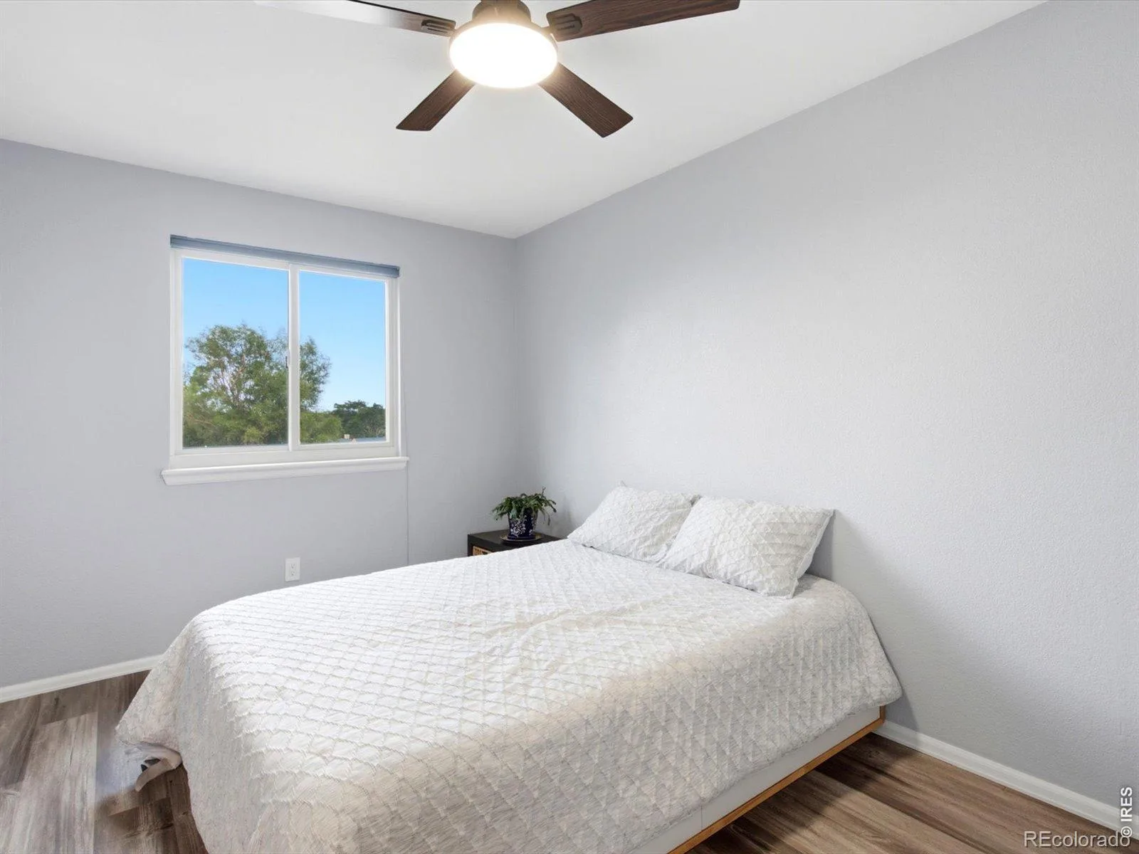 12326 Utica Street Broomfield CO 80020 | MLS #RECIR1067408 08292026005749 1600 25